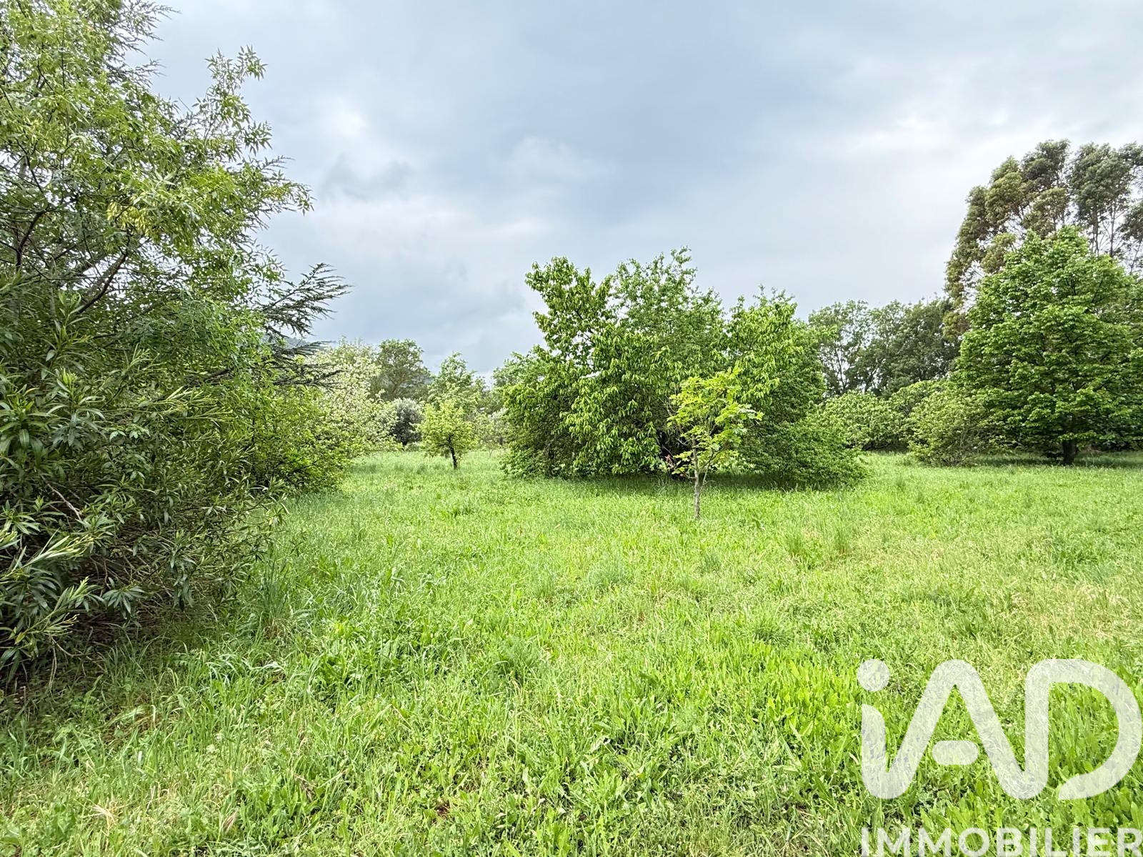Vente maison à La Crau (83260) : maison 13 pièces 327 m² - 1926770 — 4