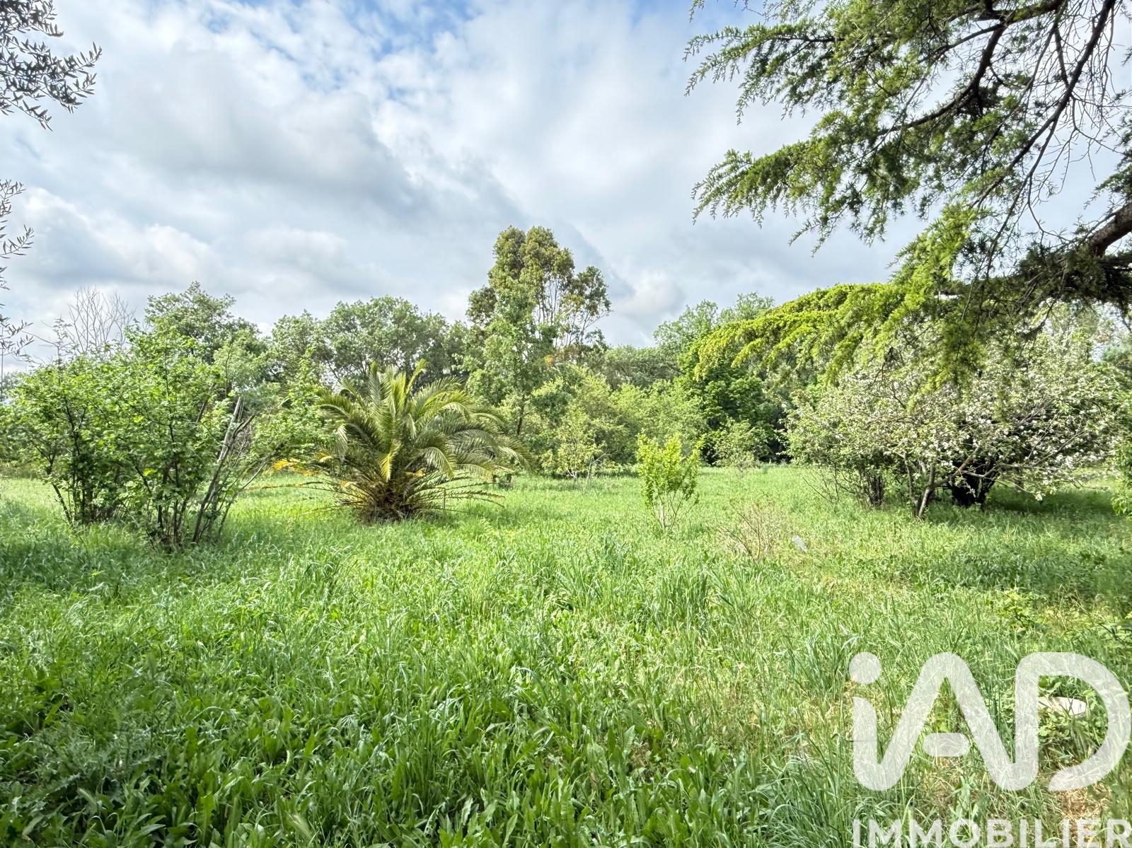 Vente maison à La Crau (83260) : maison 13 pièces 327 m² - 1926770 — 5