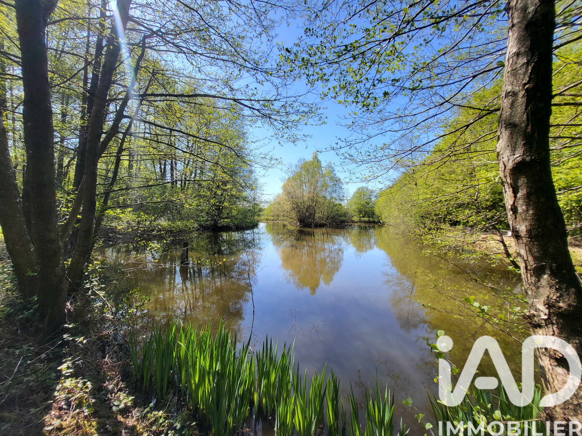 Vente maison à Bourg — 11