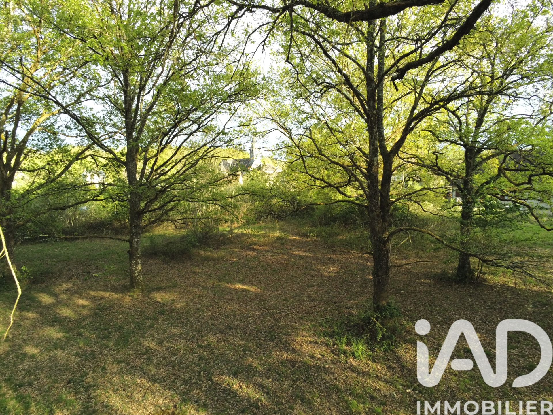 Vente Terrain 9 422 m²