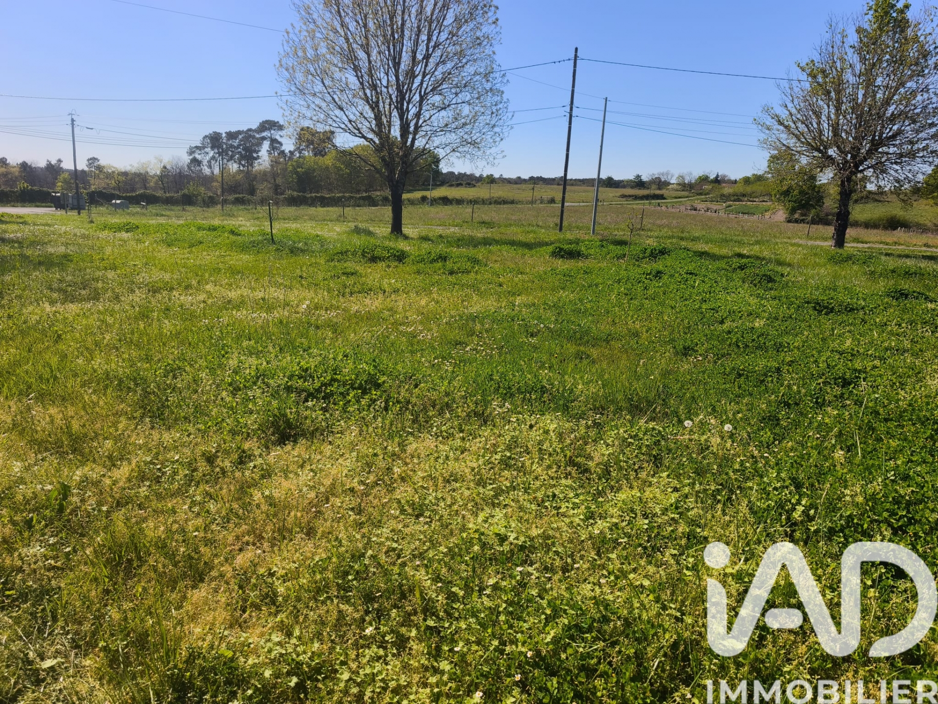 Vente Terrain à bâtir 1 237 m&sup2;