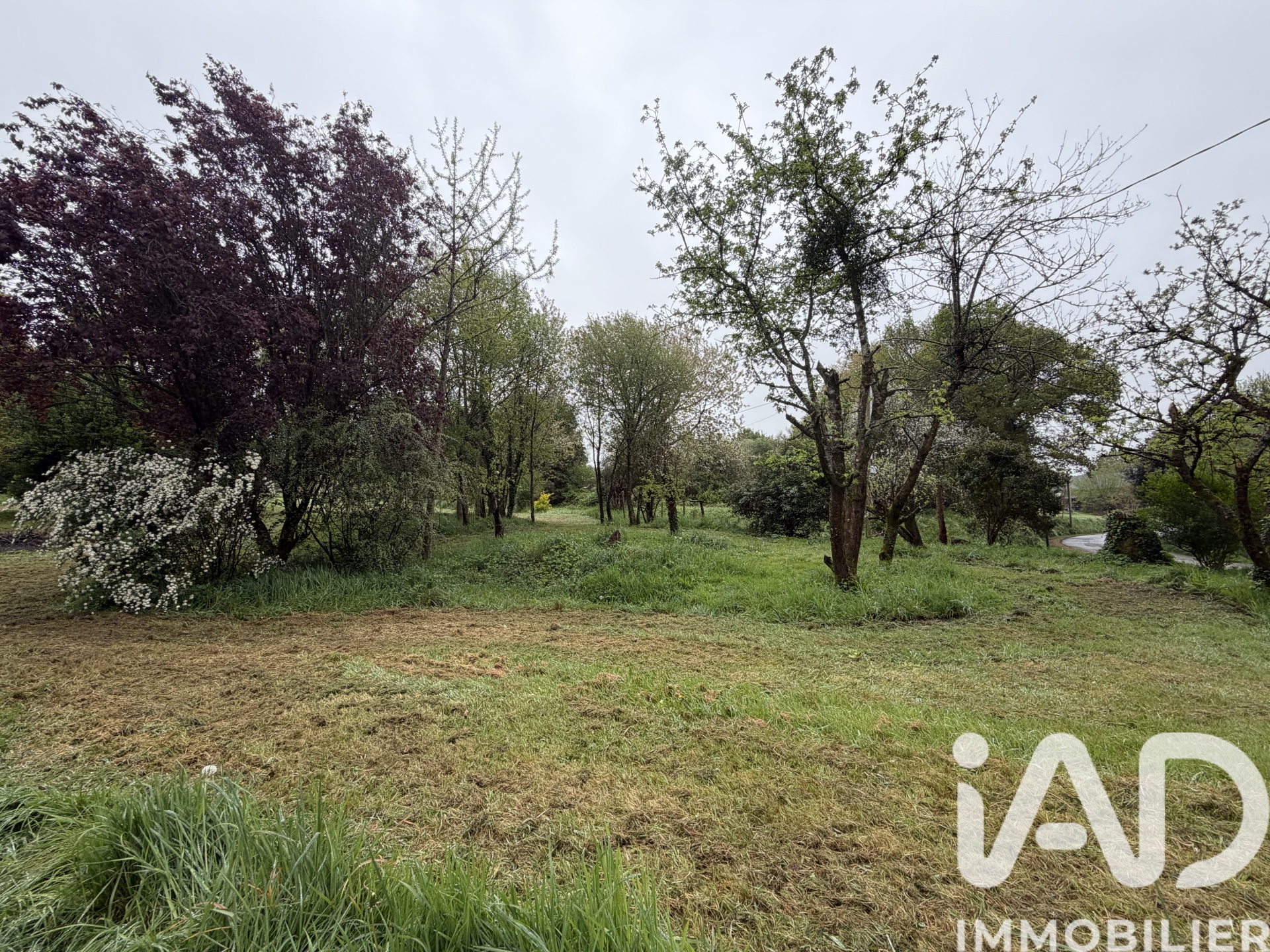 Vente maison à Évellys (56500) : maison de campagne 2 pièces 41 m² - 2010406 — 9