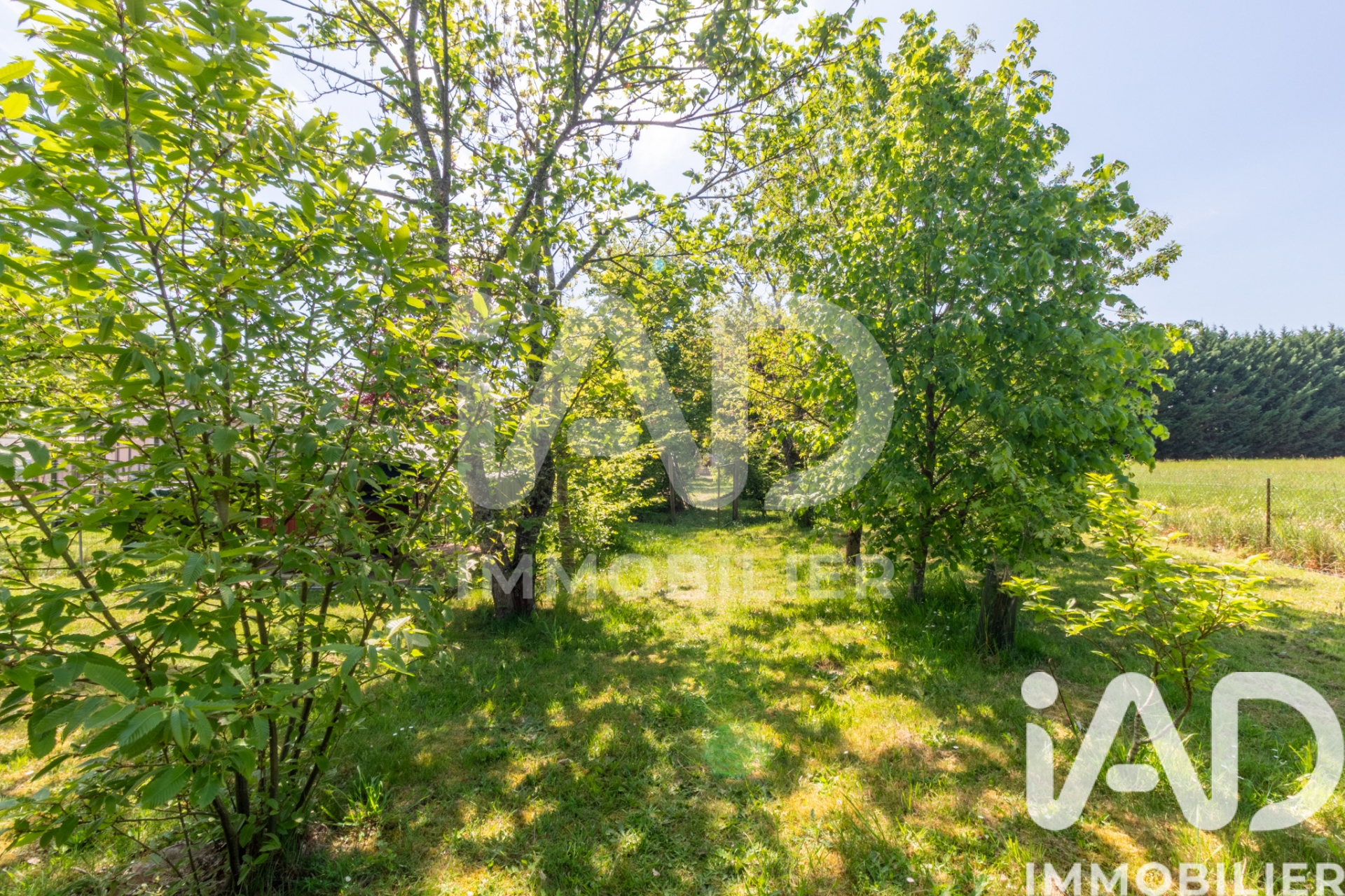 Vente maison à Lorris (45260) : maison 4 pièces 91 m² — 13