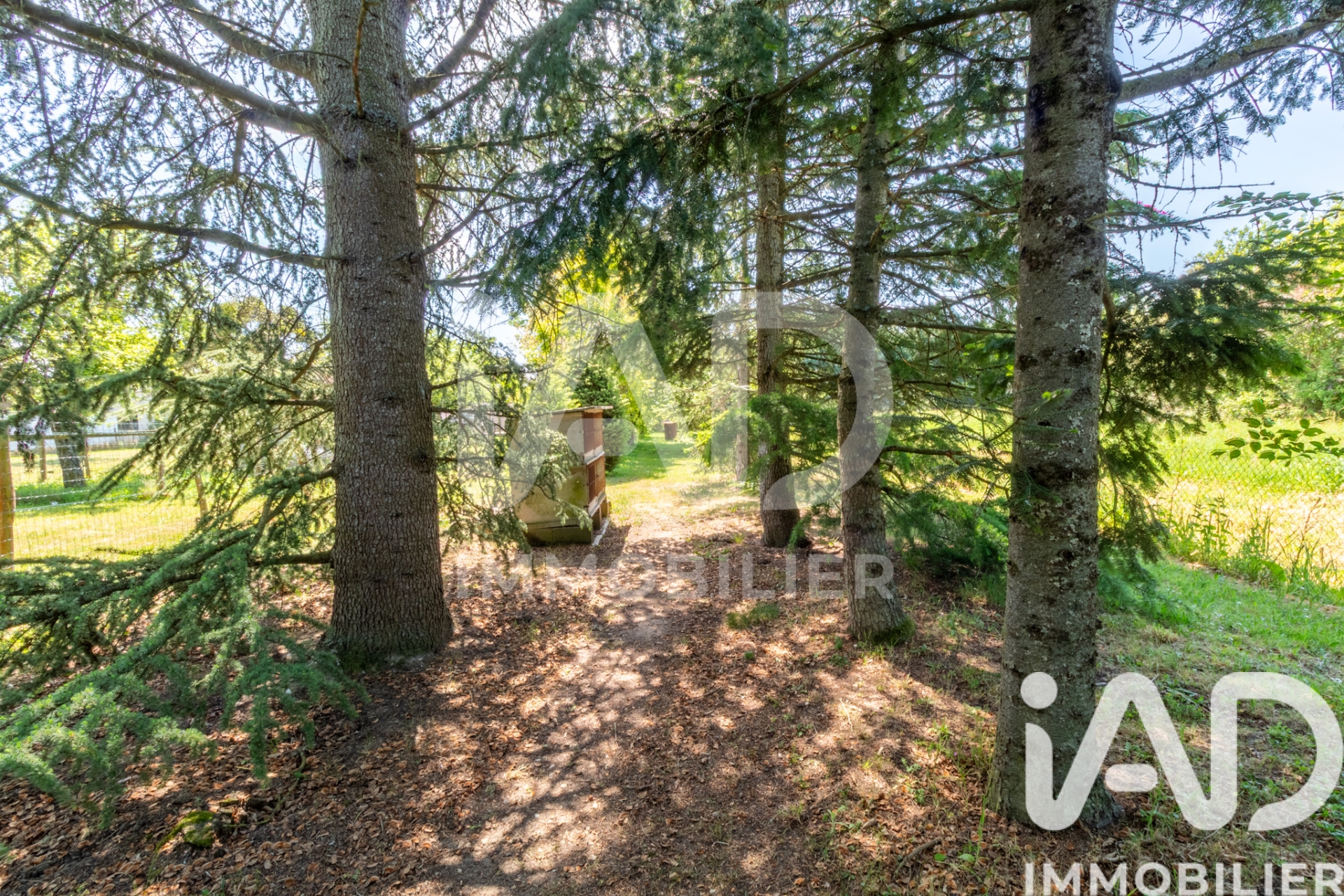 Vente maison à Lorris (45260) : maison 4 pièces 91 m² — 14