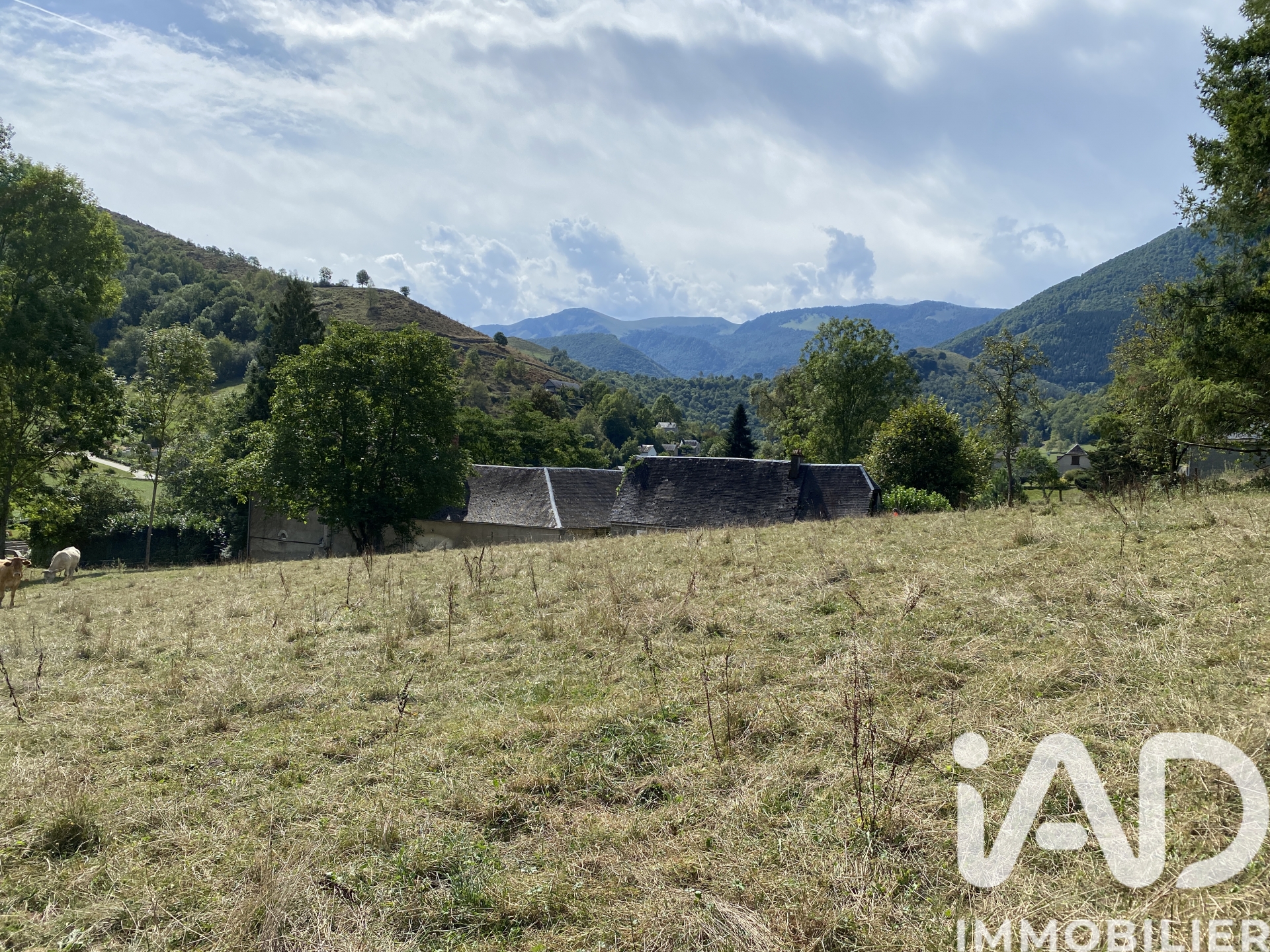 Vente Terrain à bâtir 2 519 m²