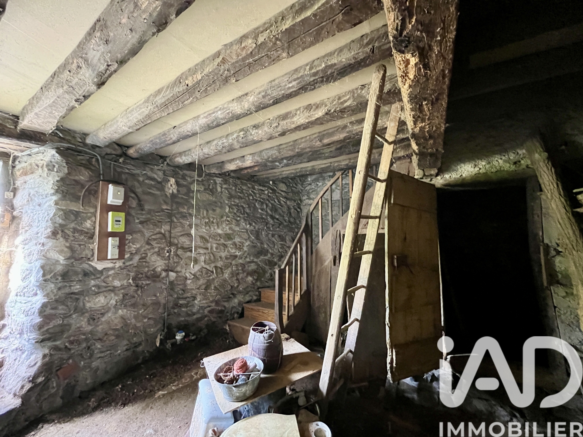 Vente maison à Siguer (09220) : maison 2 pièces 70 m² — 17