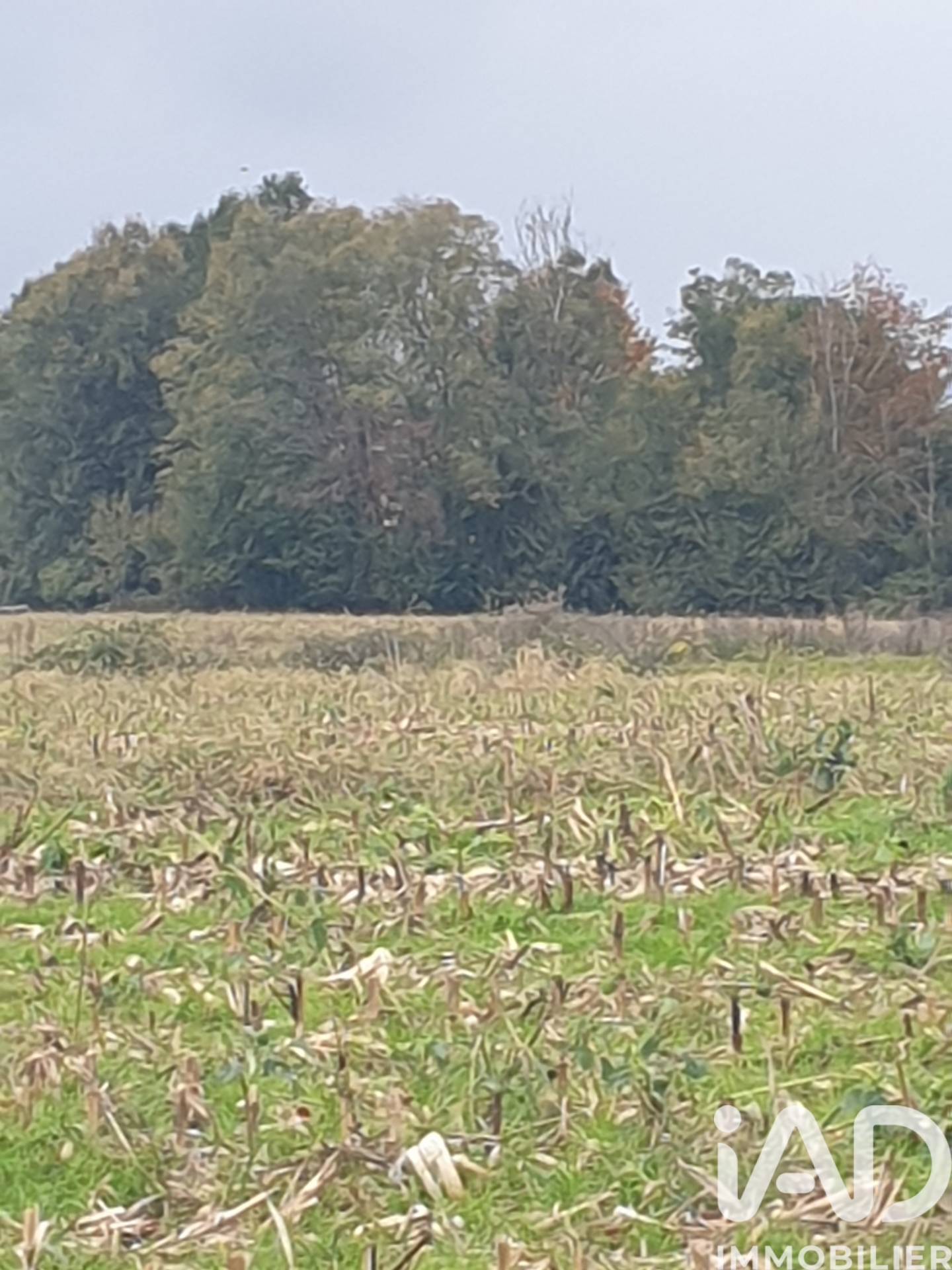 Vente Terrain agricole 4 648 m²