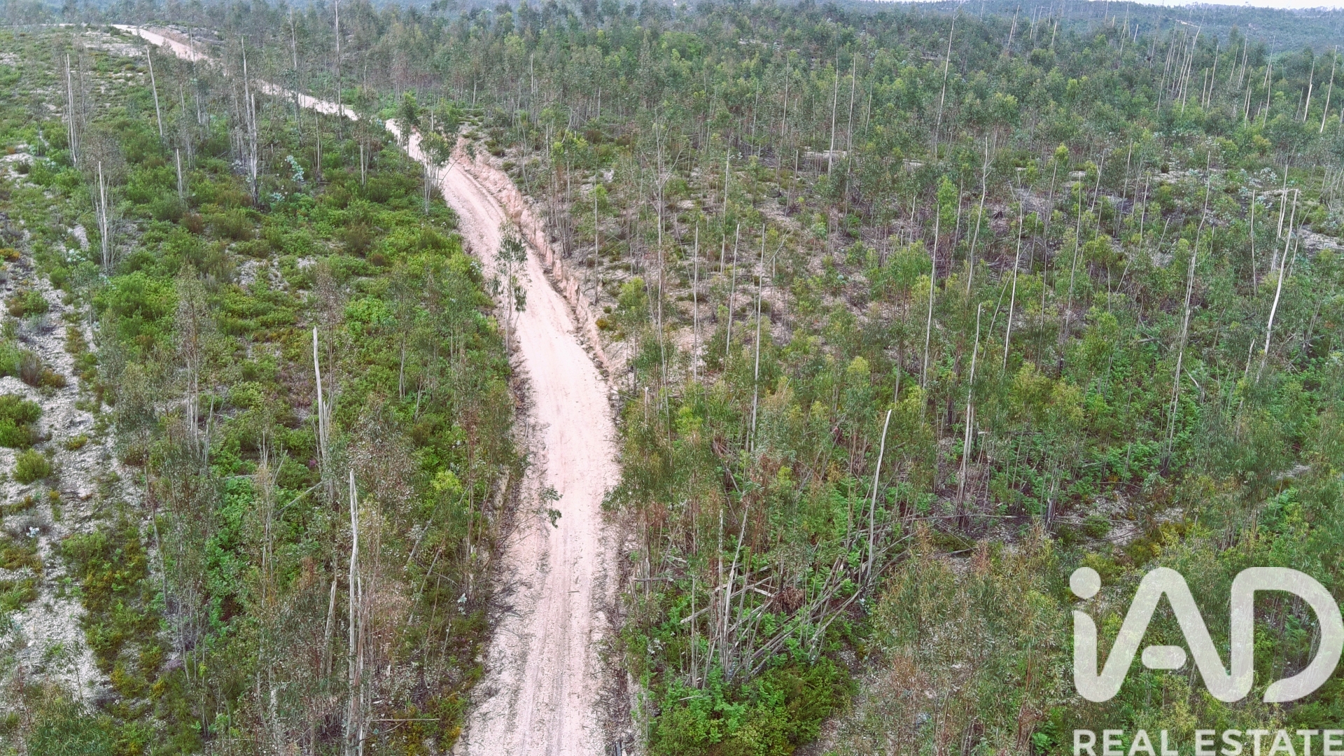 Farmland em Ourém