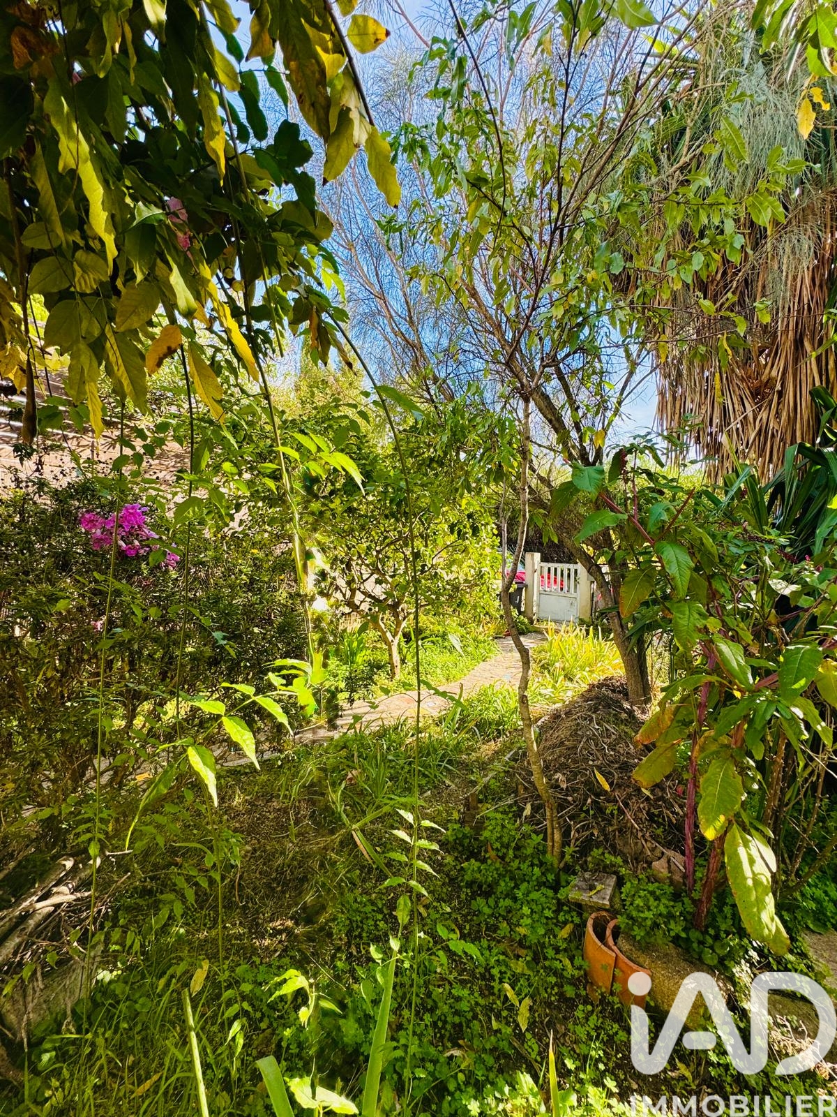 Vente appartement à Vallauris (06220) : appartement 3 pièces 80 m² - 2015251 — 7