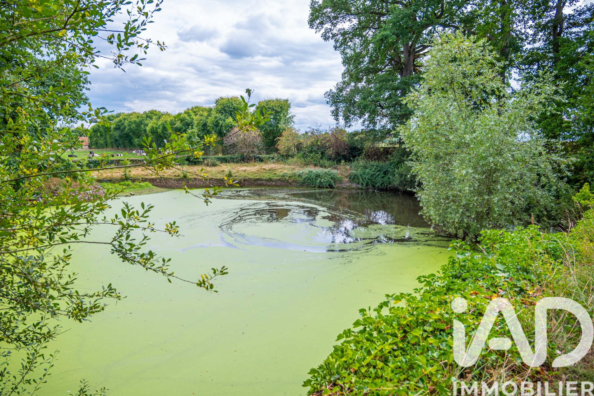 Vente maison à La Milesse (72650) : château 11 pièces 345 m² — 11