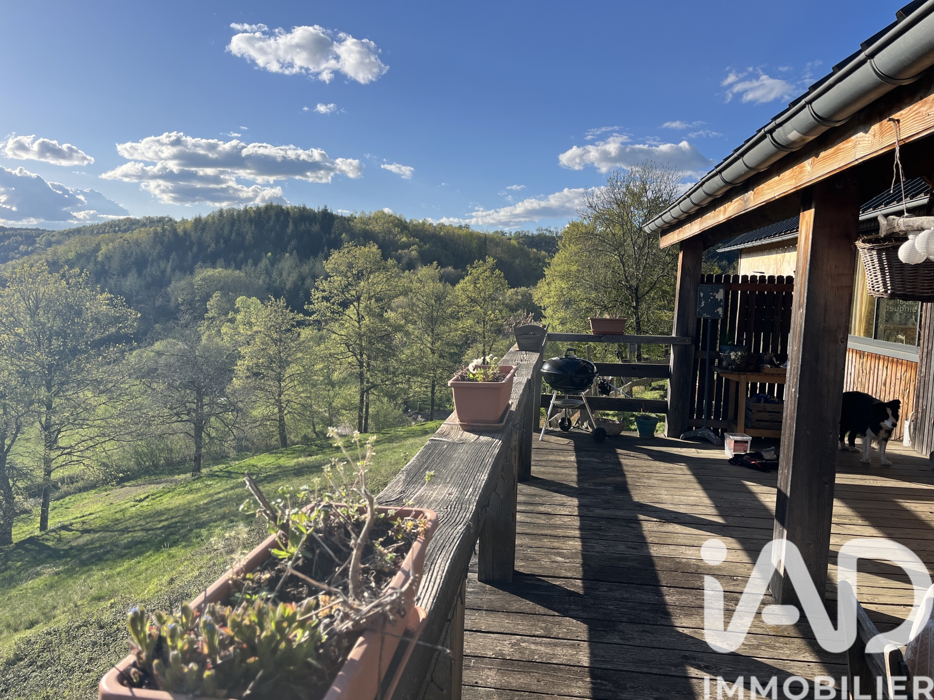Vente Maison/villa 10 pièces