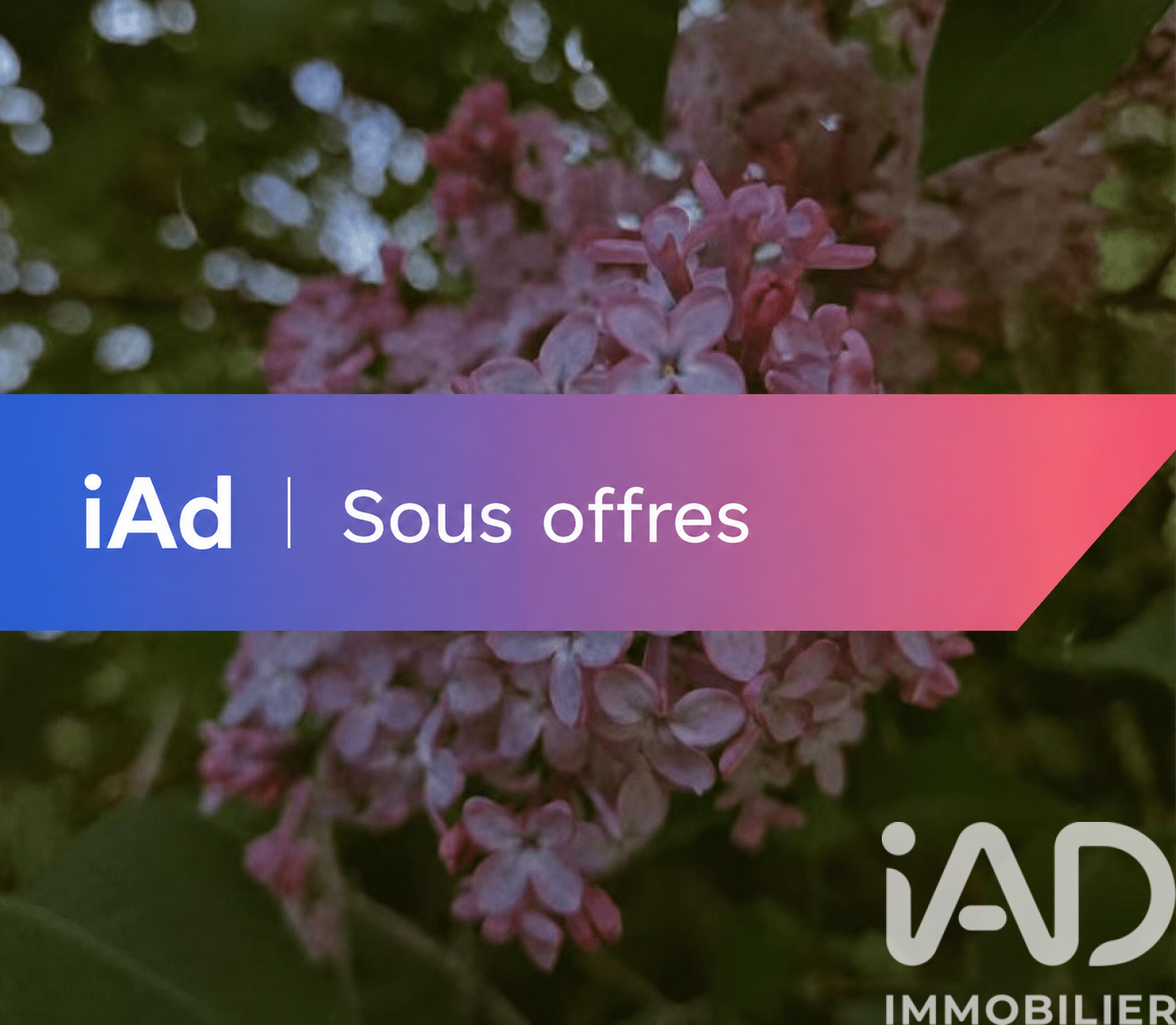 Vente maison à Dalem (57550) : maison 5 pièces 130 m² — 2