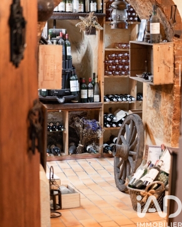 Vente maison à SAINT-ZACHARIE (83640) : domaine 14 pièces 650 m² - 2017921 — 6