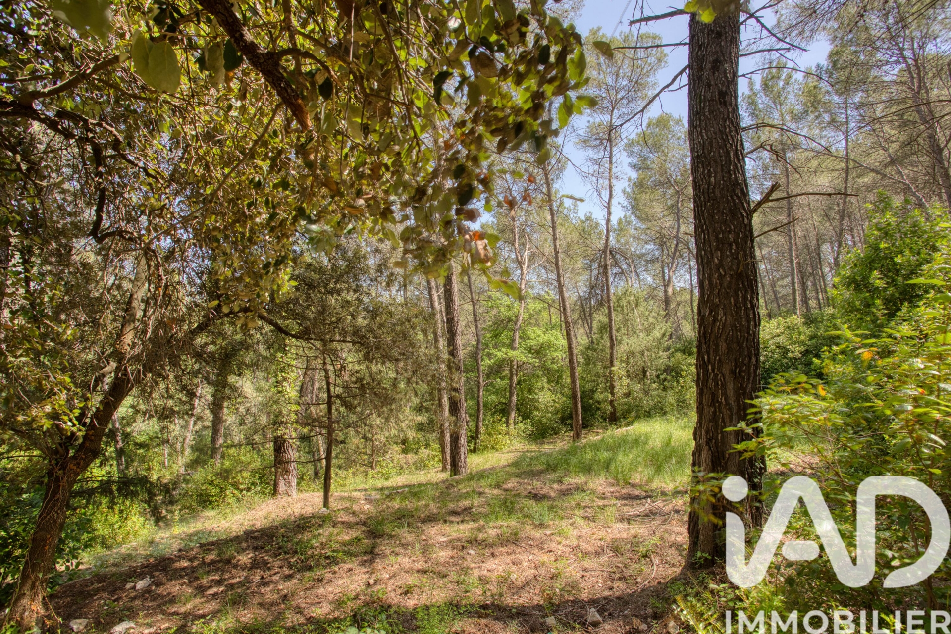 Vente maison à Trans-en-Provence (83720) : maison 4 pièces 111 m² - 2021010 — 8
