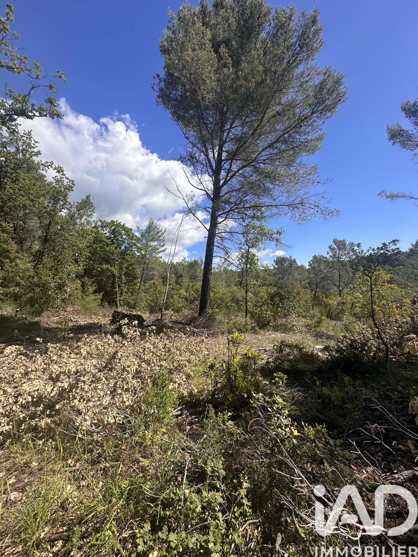 Vente Terrain 19 030 m²
