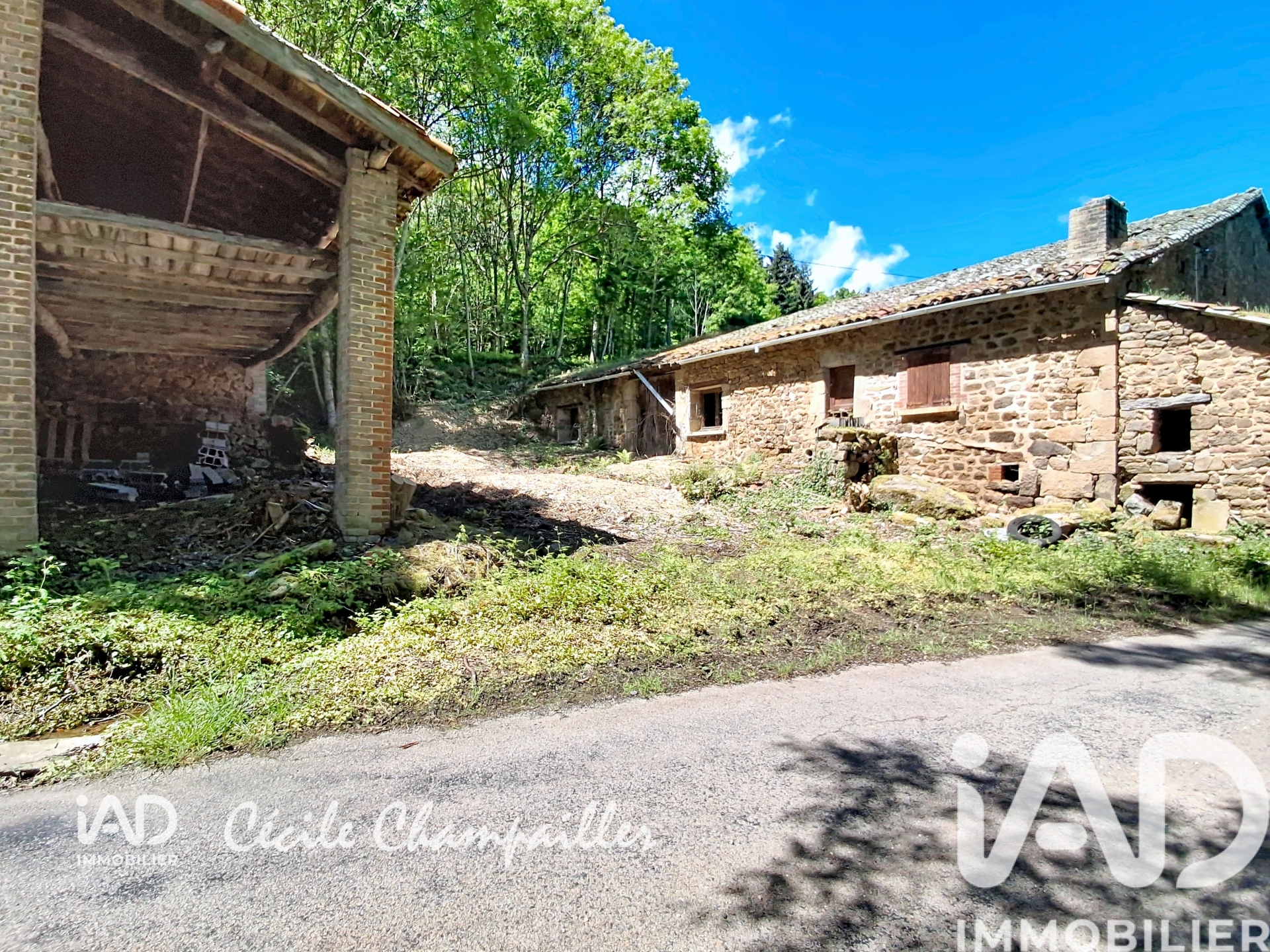 Vente maison à Roisey (42520) : ferme 3 pièces 250 m² — 6