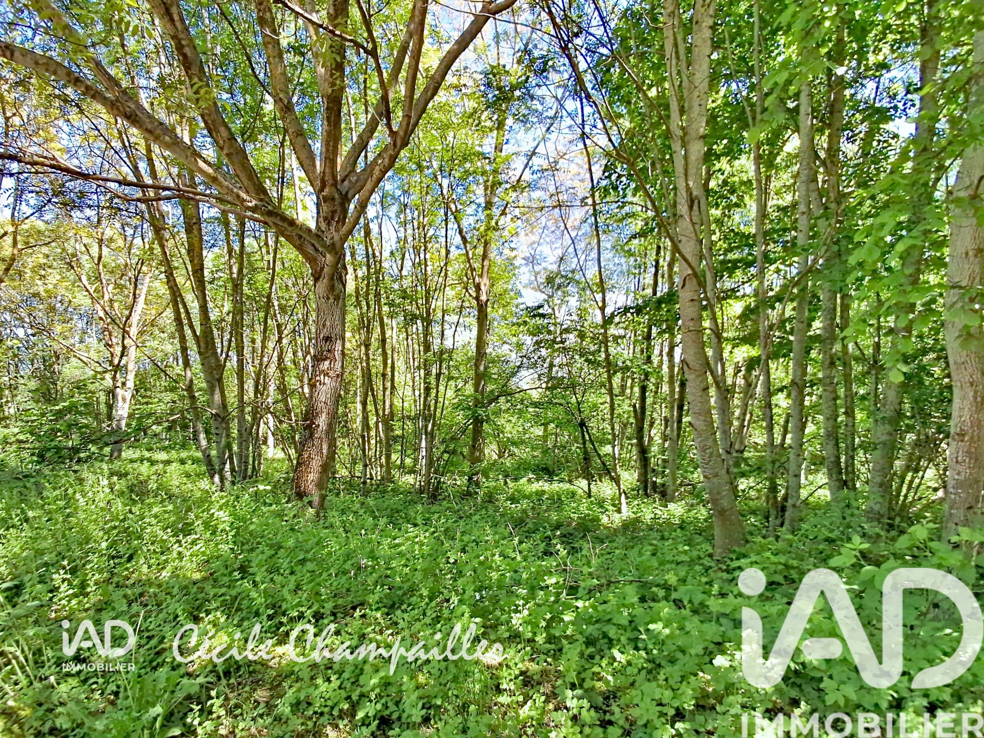 Vente maison à Roisey (42520) : ferme 3 pièces 250 m² — 4