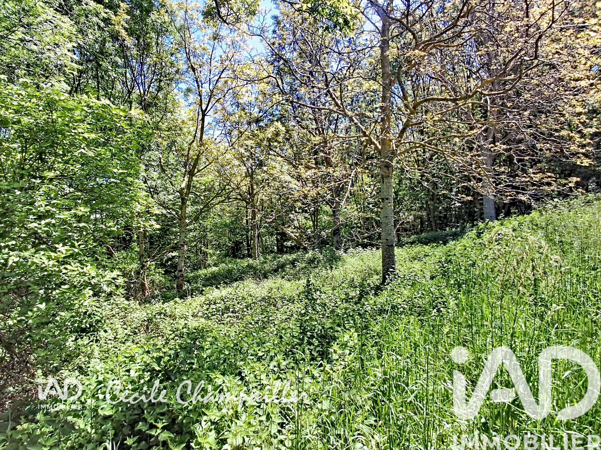 Vente maison à Roisey (42520) : ferme 3 pièces 250 m² — 5