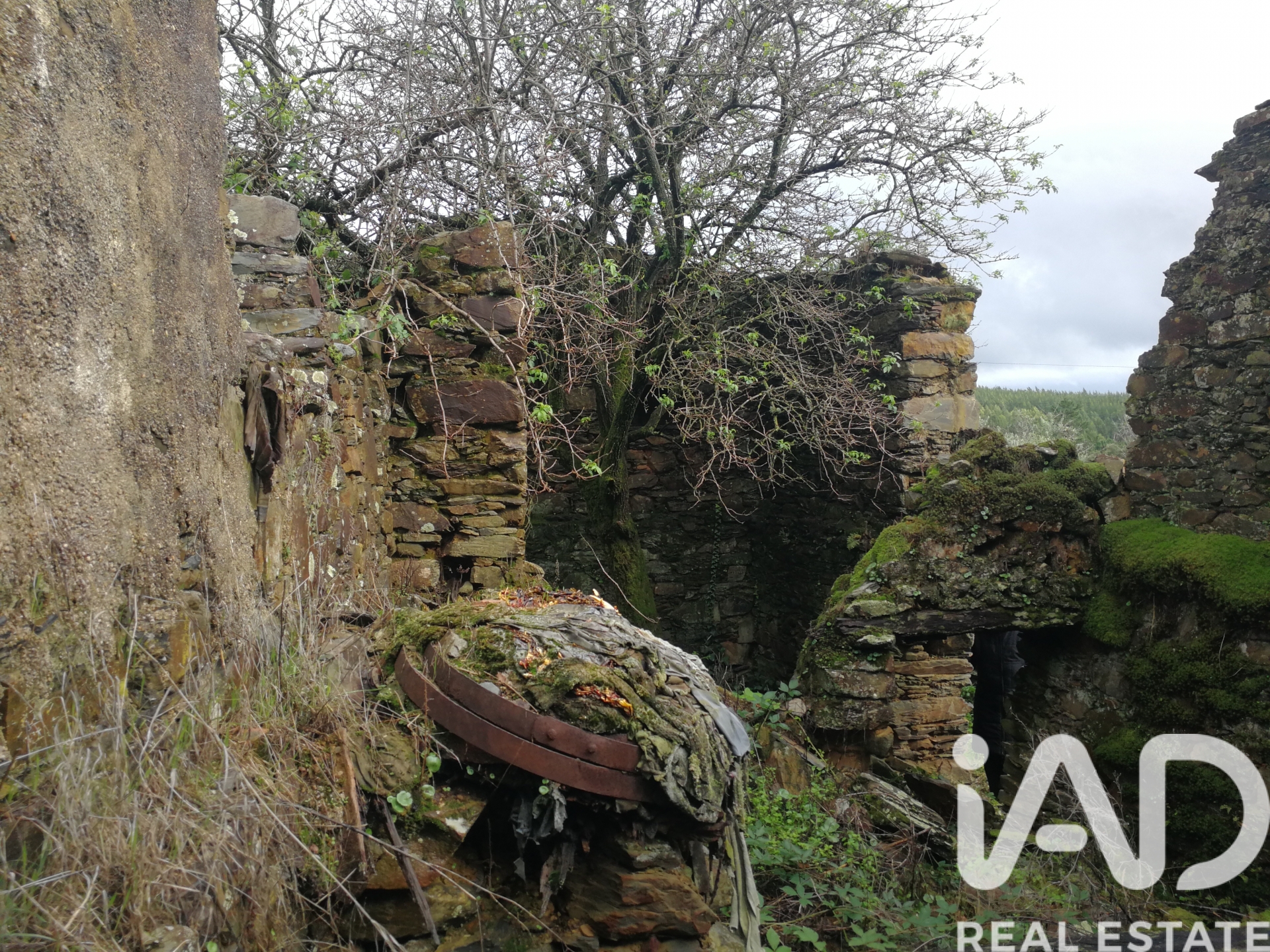 Moradia T0 à venda em Amioso Cimeiro, Góis — foto 2