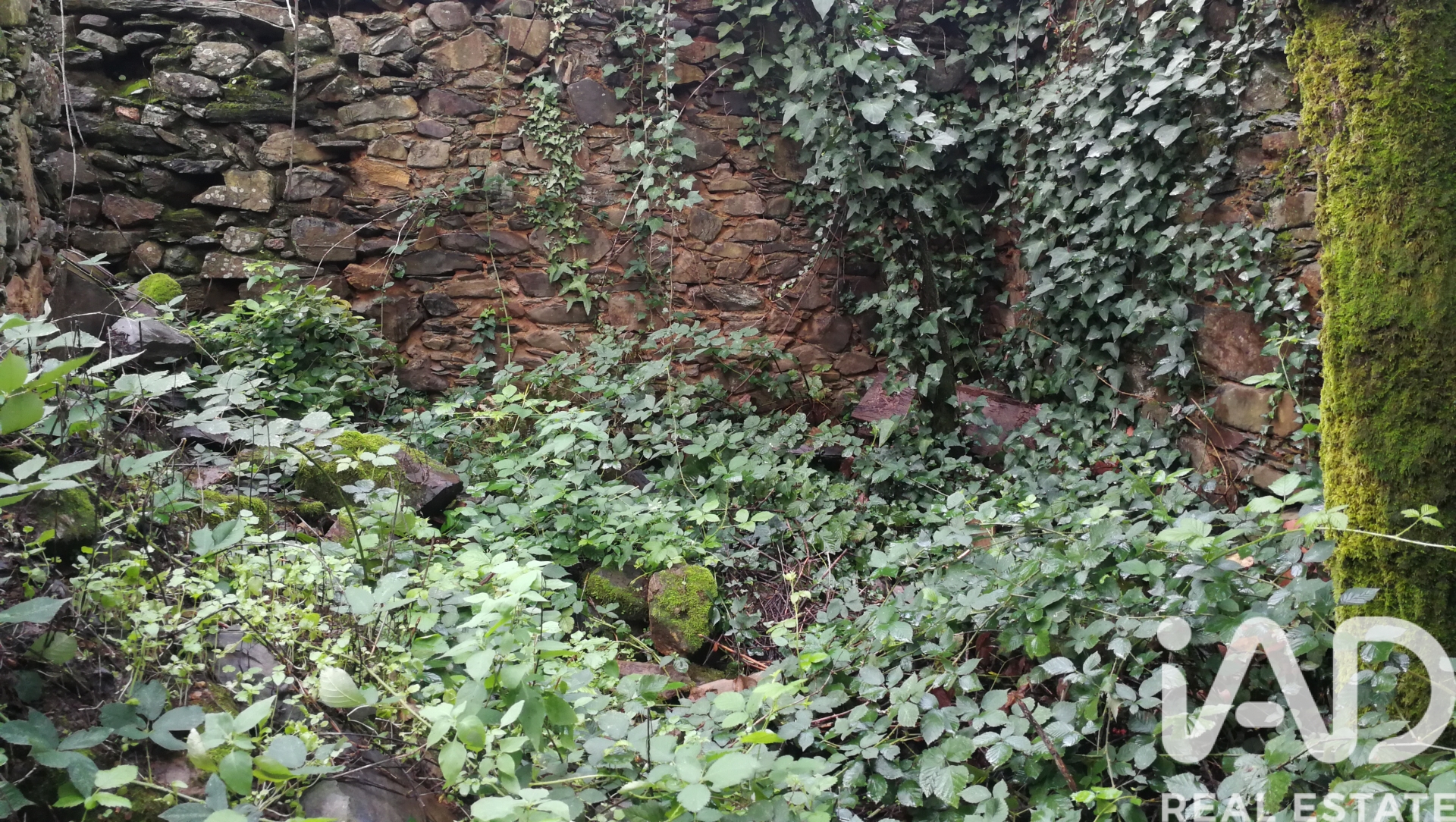 Moradia T0 à venda em Amioso Cimeiro, Góis — foto 7