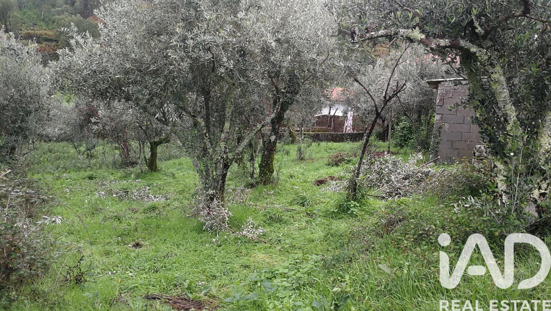 Moradia T0 à venda em Amioso Cimeiro, Góis — foto 14