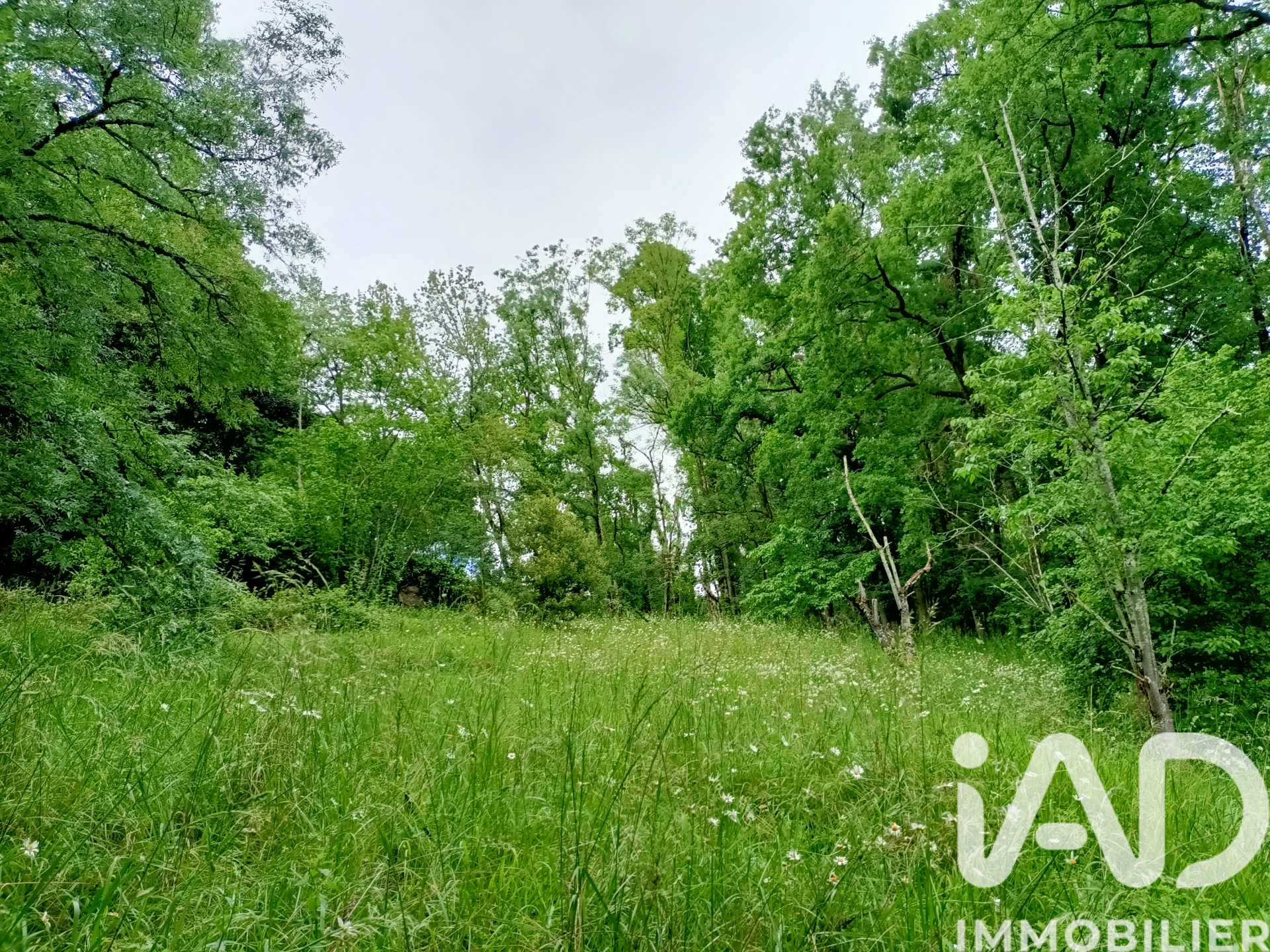Vente maison à Malemort (19360) : maison 2 pièces 26 m² — 8