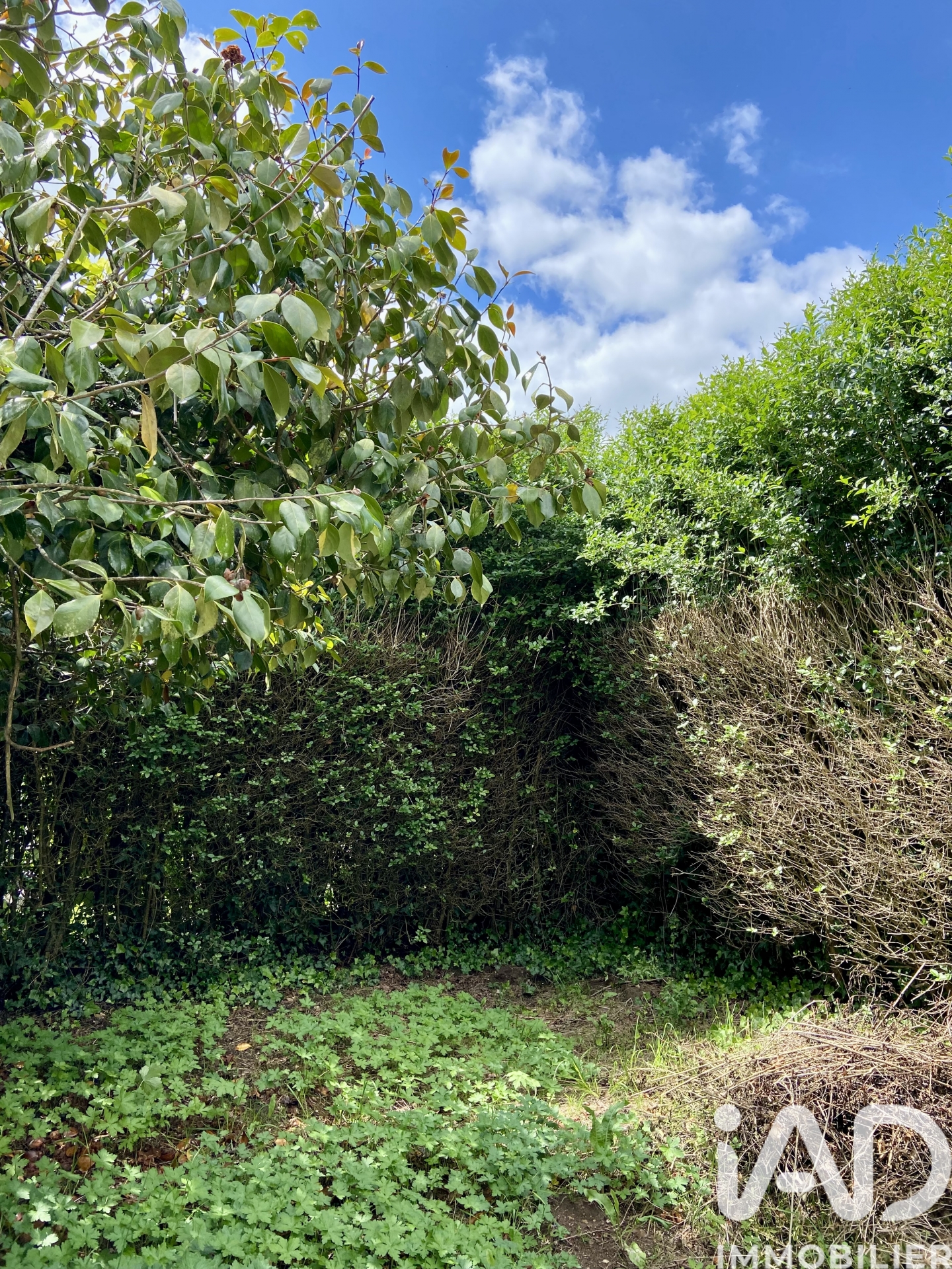 Vente maison à Melrand (56310) : maison de campagne 3 pièces 109 m² - 2019108 — 27