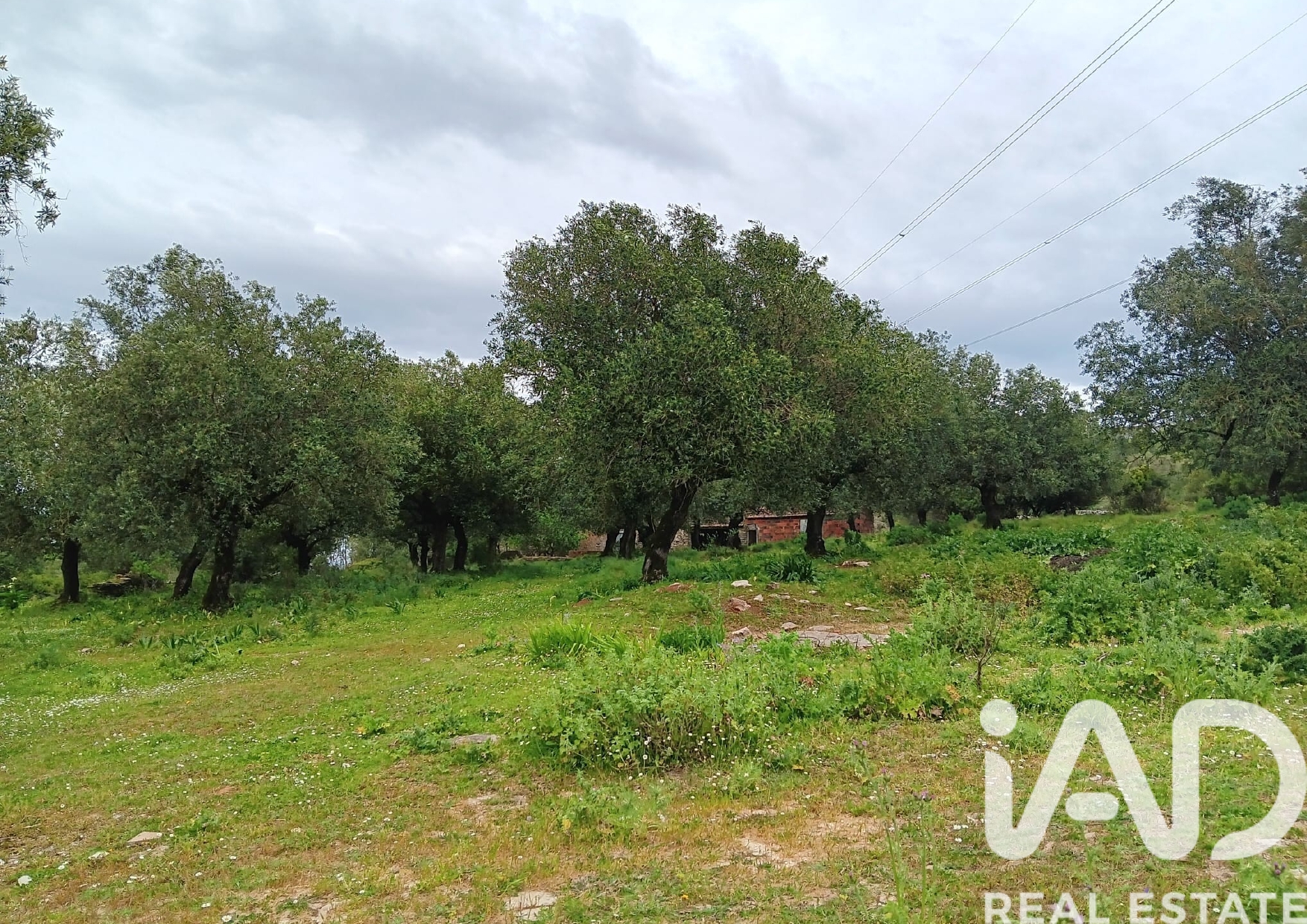 Moradia T1 à venda em Aljubarrota, Alcobaça — foto 4