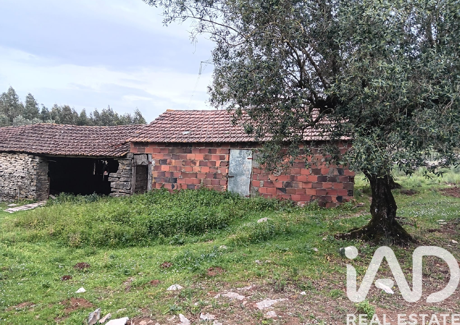Moradia T1 à venda em Aljubarrota, Alcobaça — foto 6