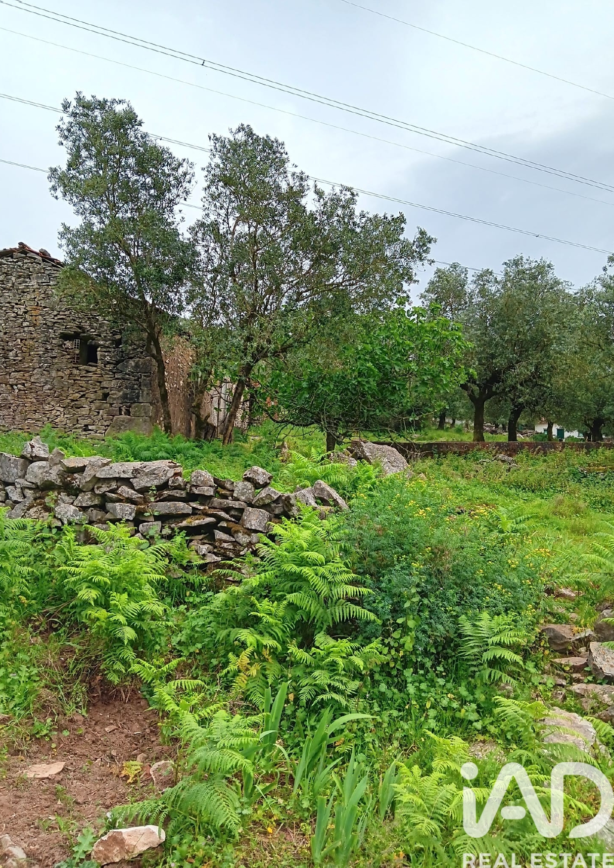 Moradia T1 à venda em Aljubarrota, Alcobaça — foto 9