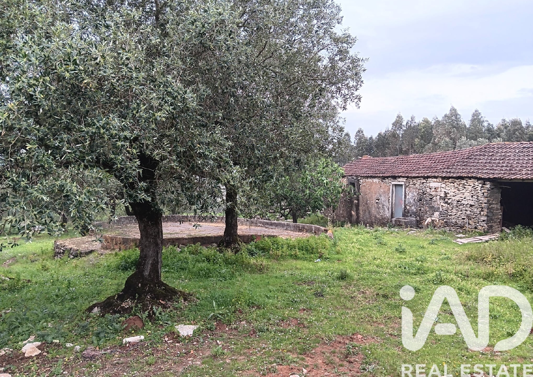 Moradia T1 à venda em Aljubarrota, Alcobaça — foto 7