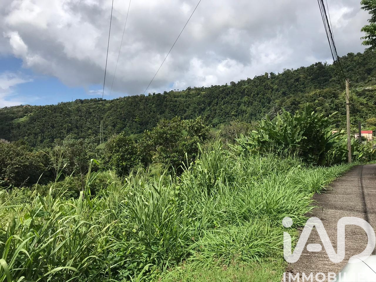 Vente Terrain 6 300 m²