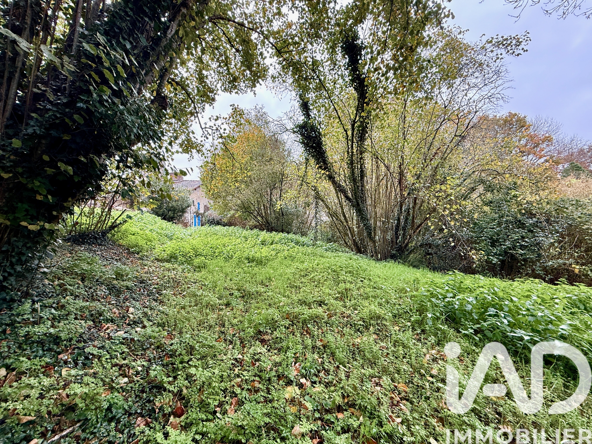 Vente maison à Fenioux (79160) : maison de ville 4 pièces 110 m² - 1997059 — 11