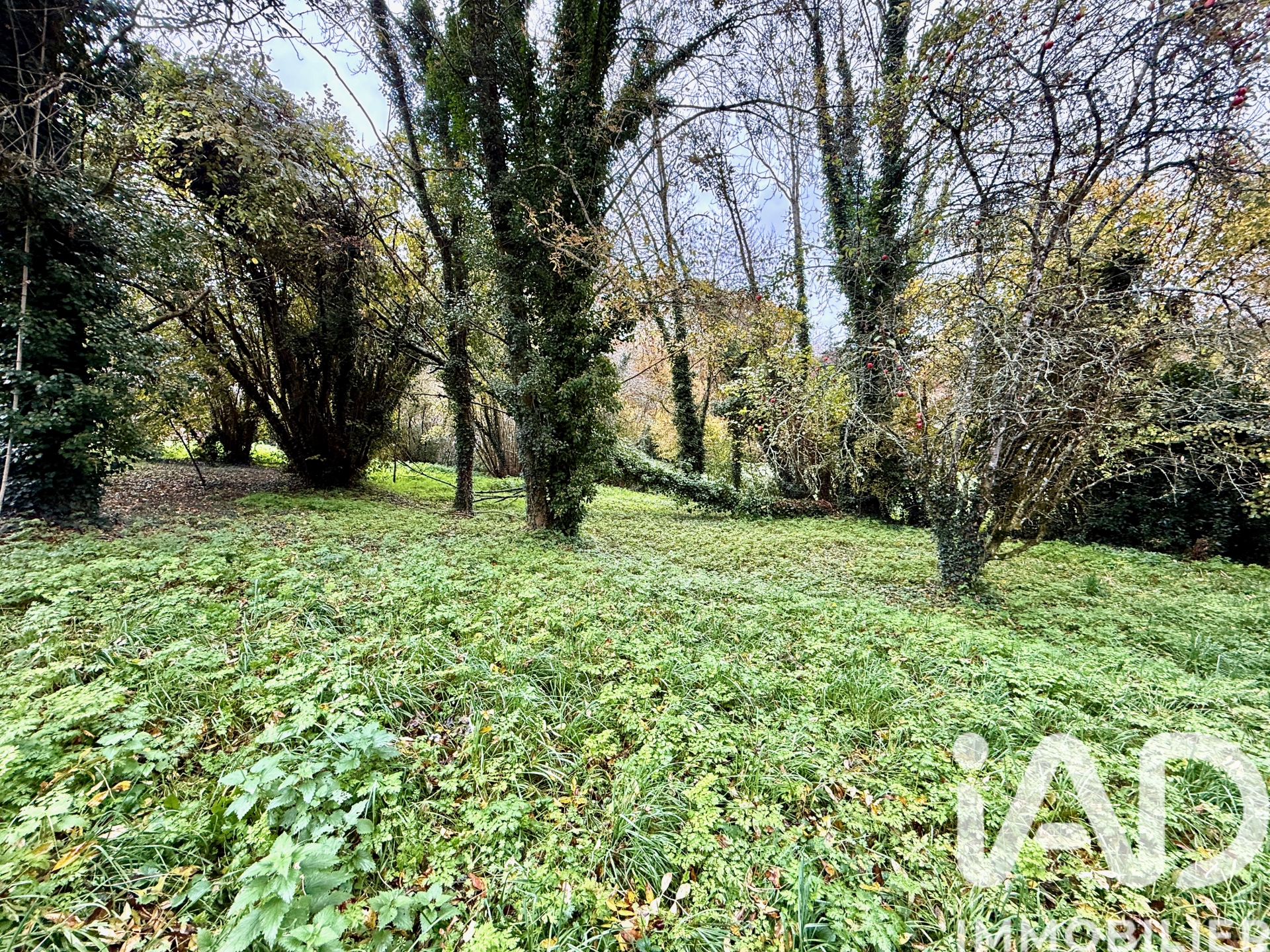 Vente maison à Fenioux (79160) : maison de ville 4 pièces 110 m² - 1997059 — 9