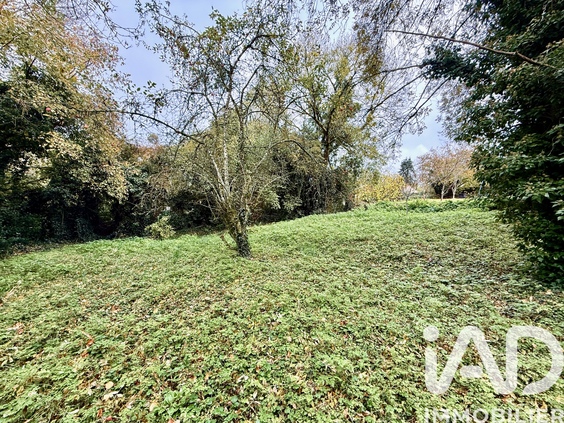 Vente maison à Fenioux (79160) : maison de ville 4 pièces 110 m² - 1997059 — 10