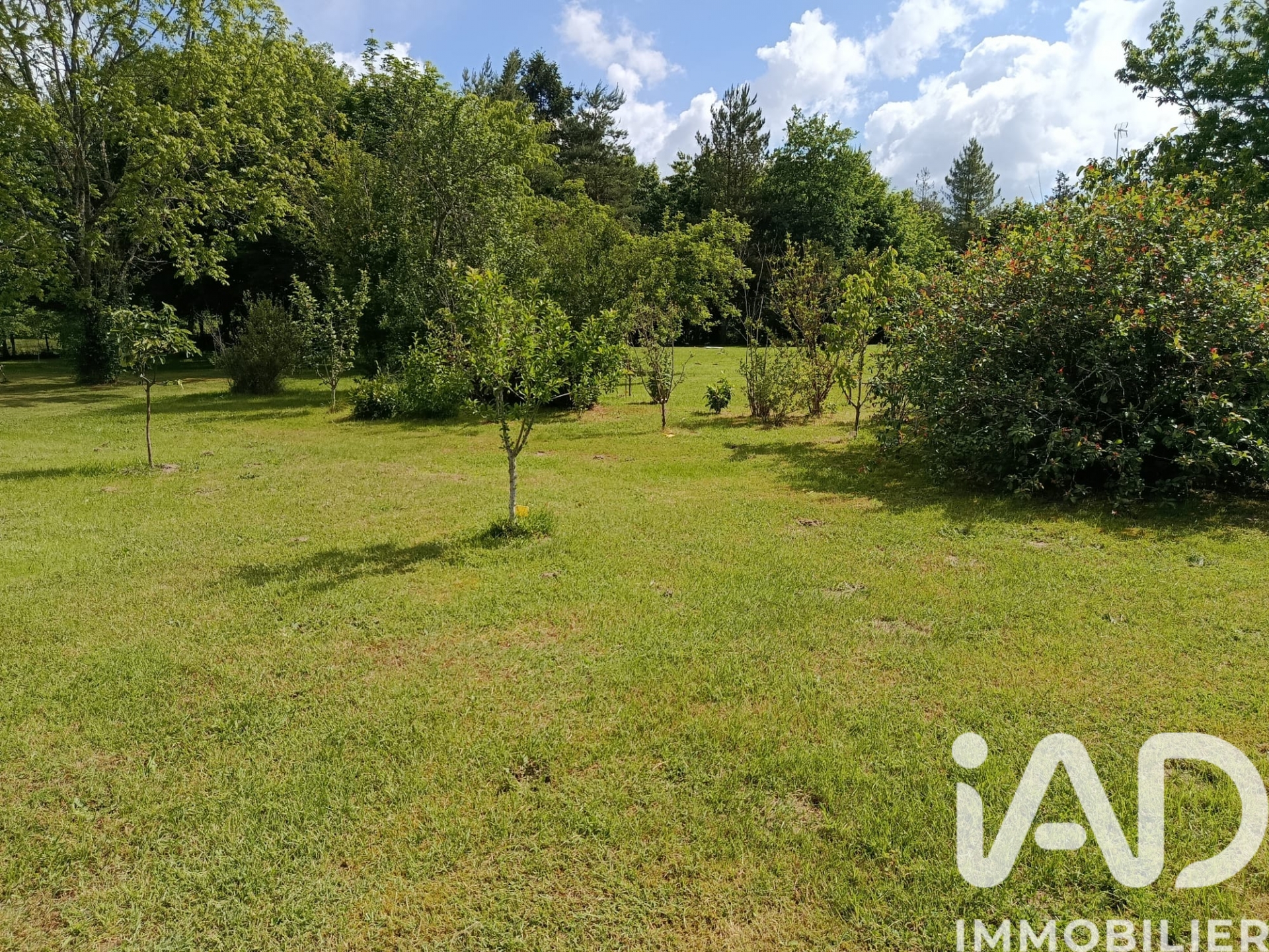 Vente maison à La Ferté-Saint-Cyr (41220) : maison de campagne 5 pièces 160 m² - 2024466 — 23