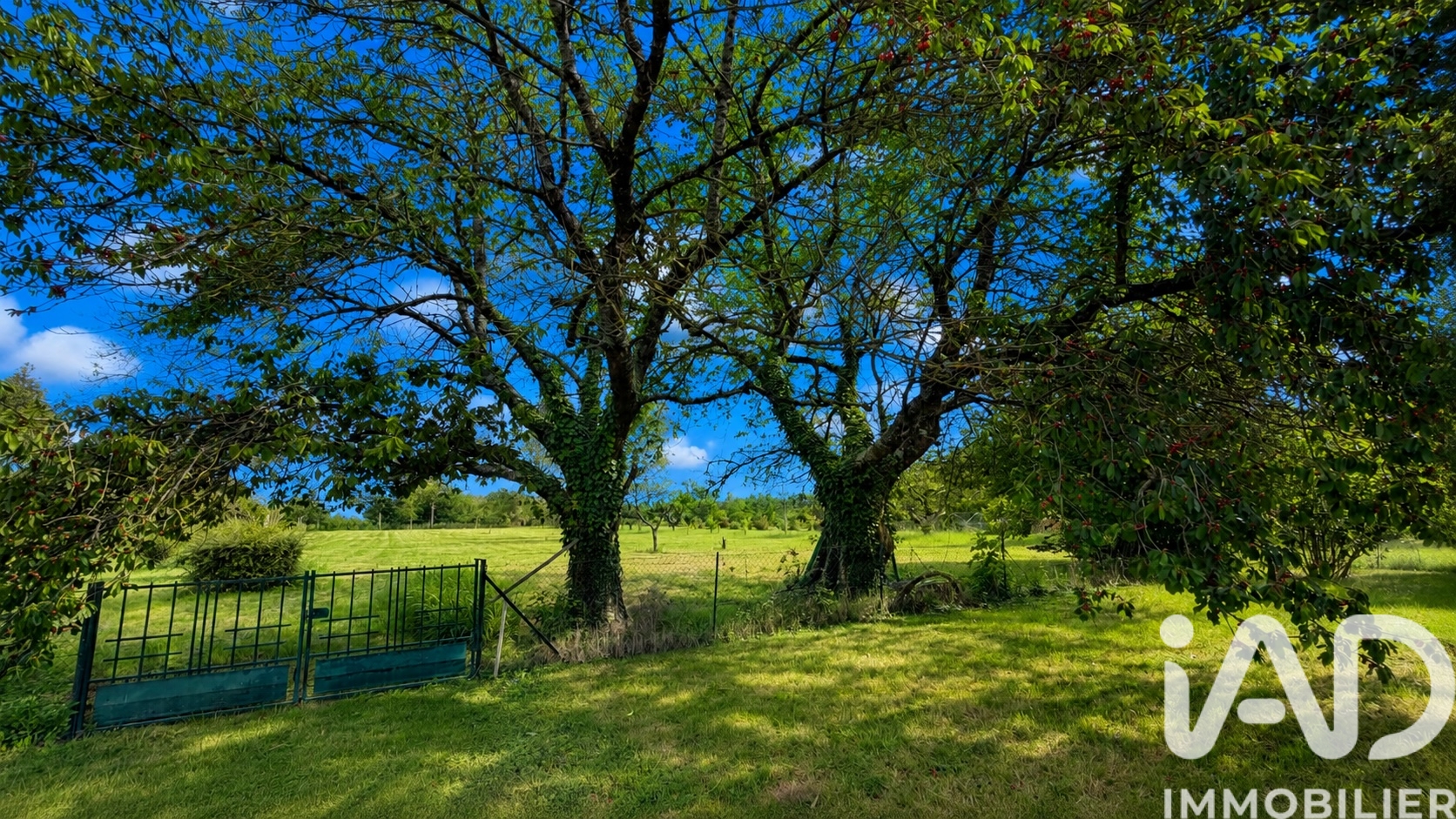 Vente maison à Beaumont-en-Véron (37420) : maison 4 pièces 91 m² - 2025589 — 15
