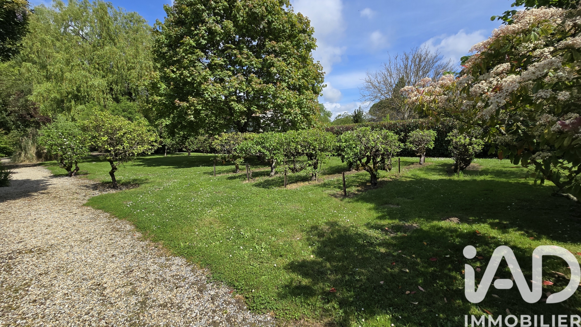 Vente Terrain à bâtir 2 000 m²