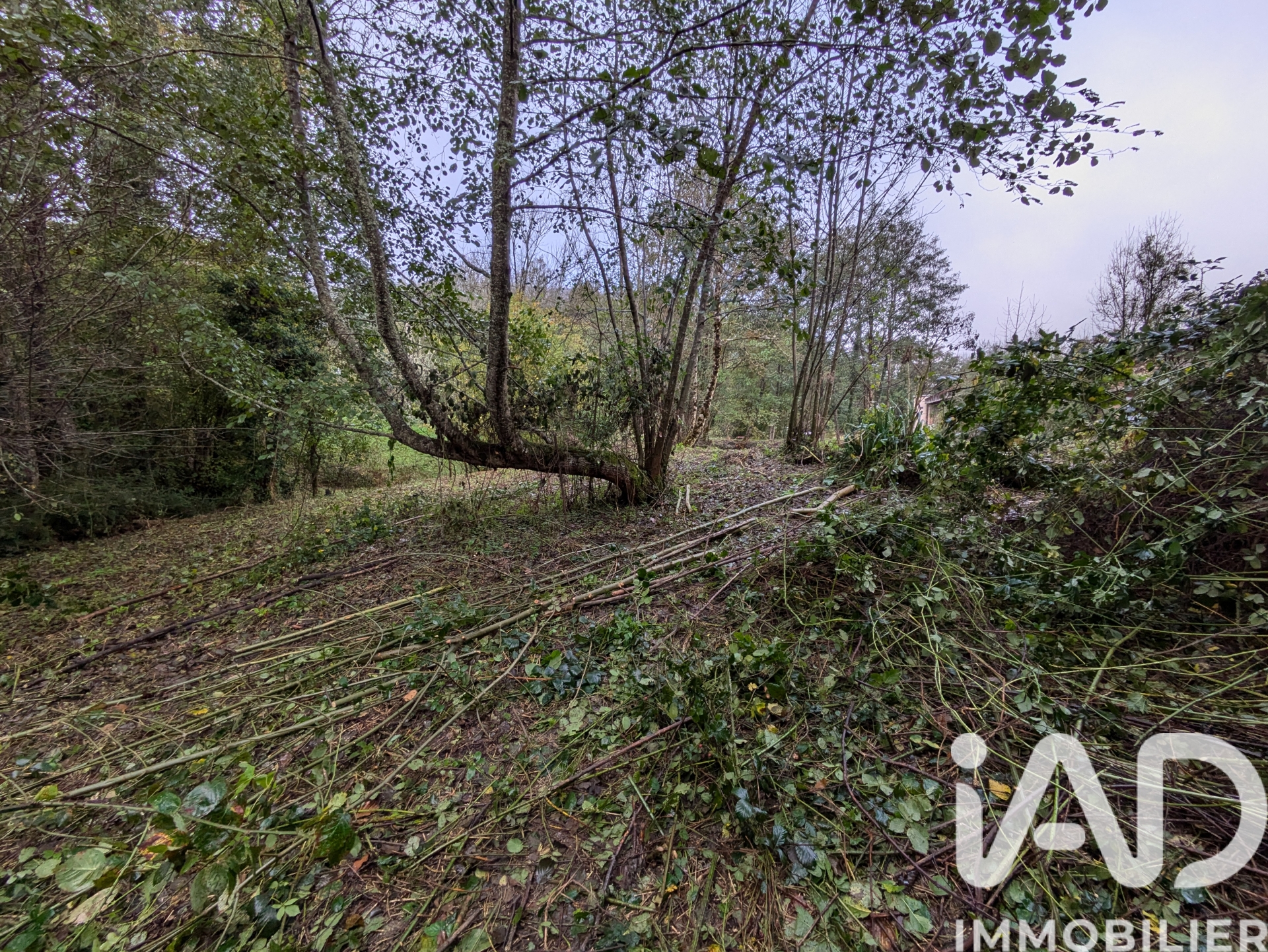 Vente maison à Nalzen (09300) : maison de campagne 7 pièces 118 m² - 2017565 — 19