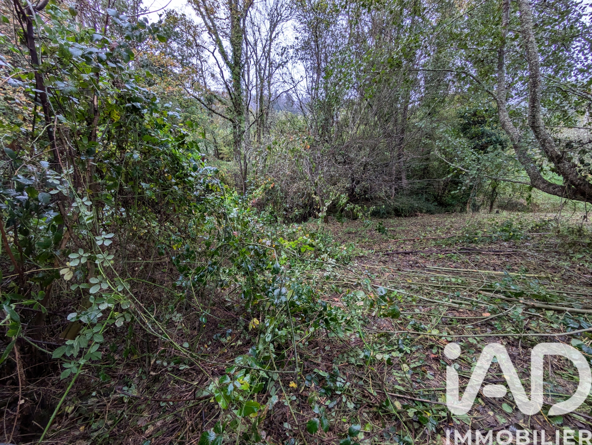 Vente maison à Nalzen (09300) : maison de campagne 7 pièces 118 m² - 2017565 — 20