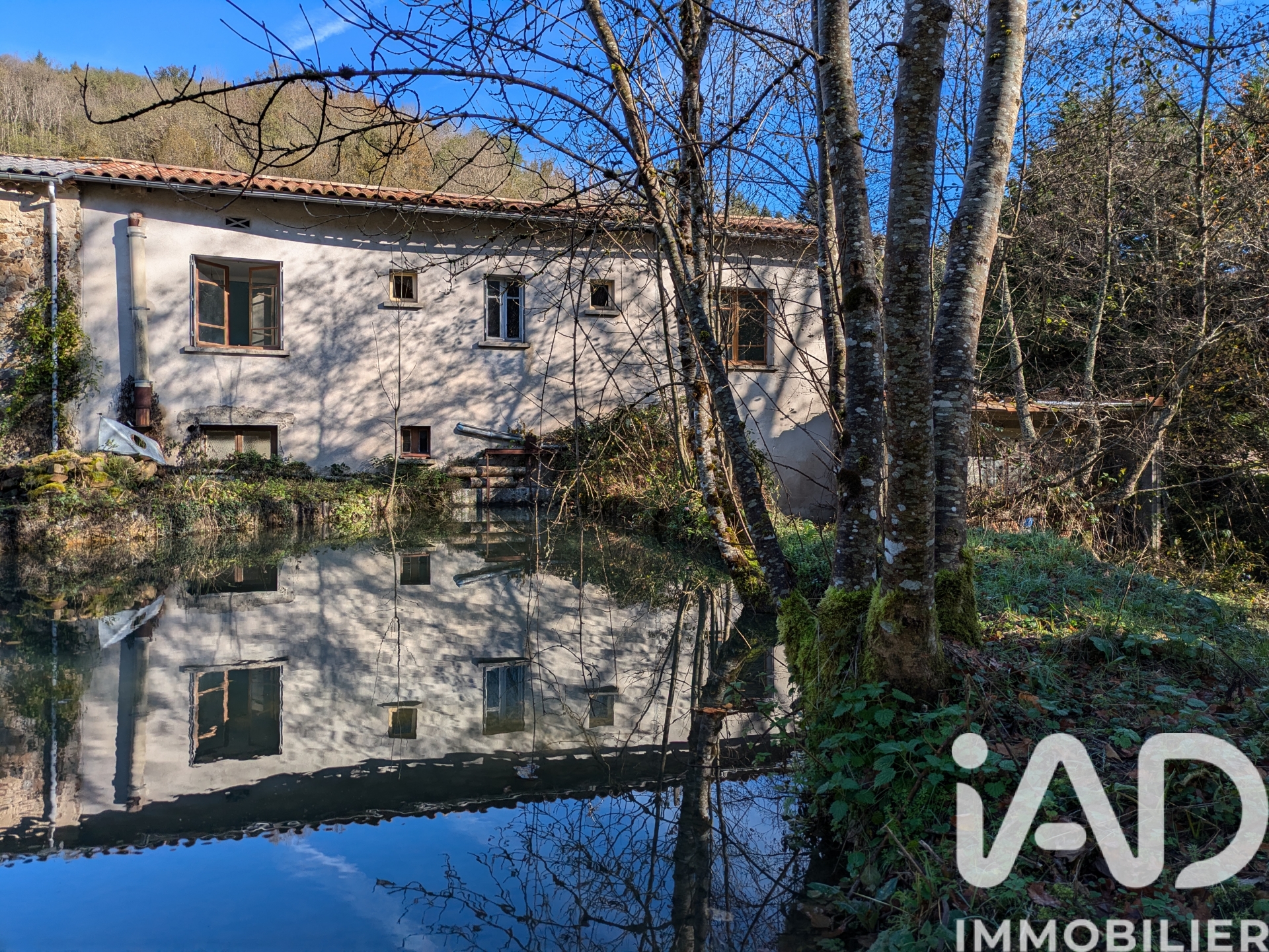 Vente maison à Nalzen (09300) : maison de campagne 7 pièces 118 m² - 2017565 — 5