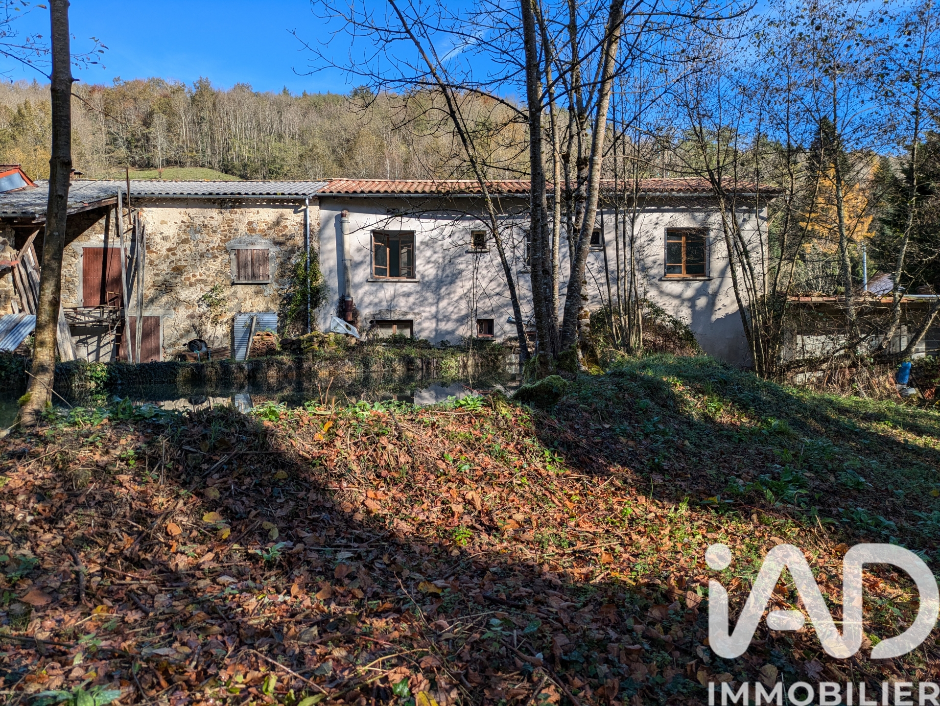 Vente maison à Nalzen (09300) : maison de campagne 7 pièces 118 m² - 2017565 — 6