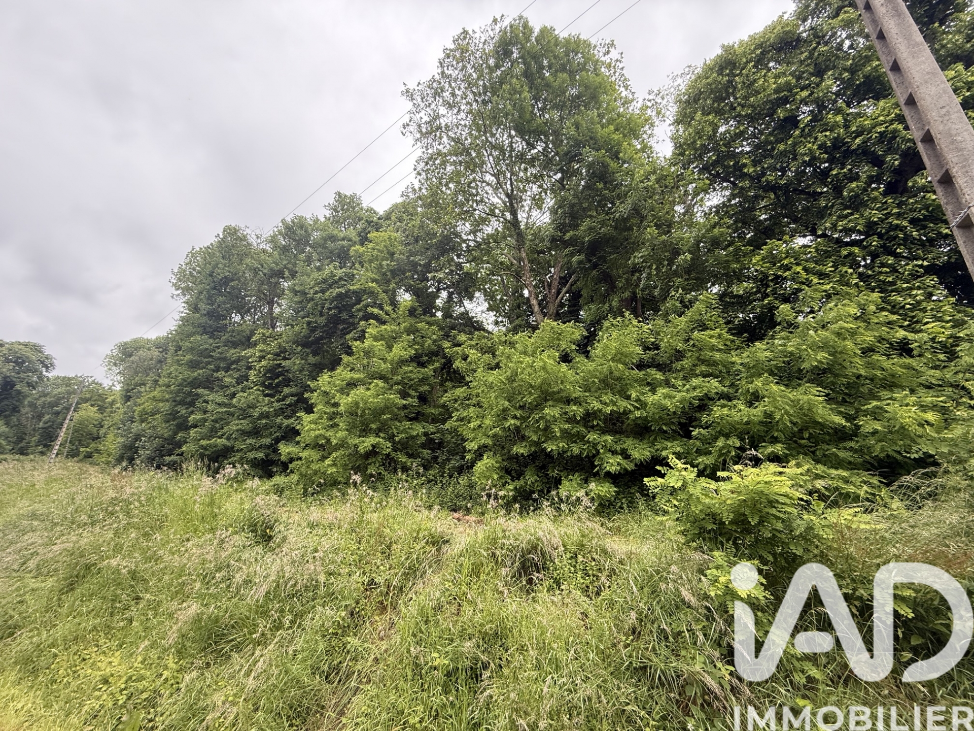 Vente Terrain 35 024 m²