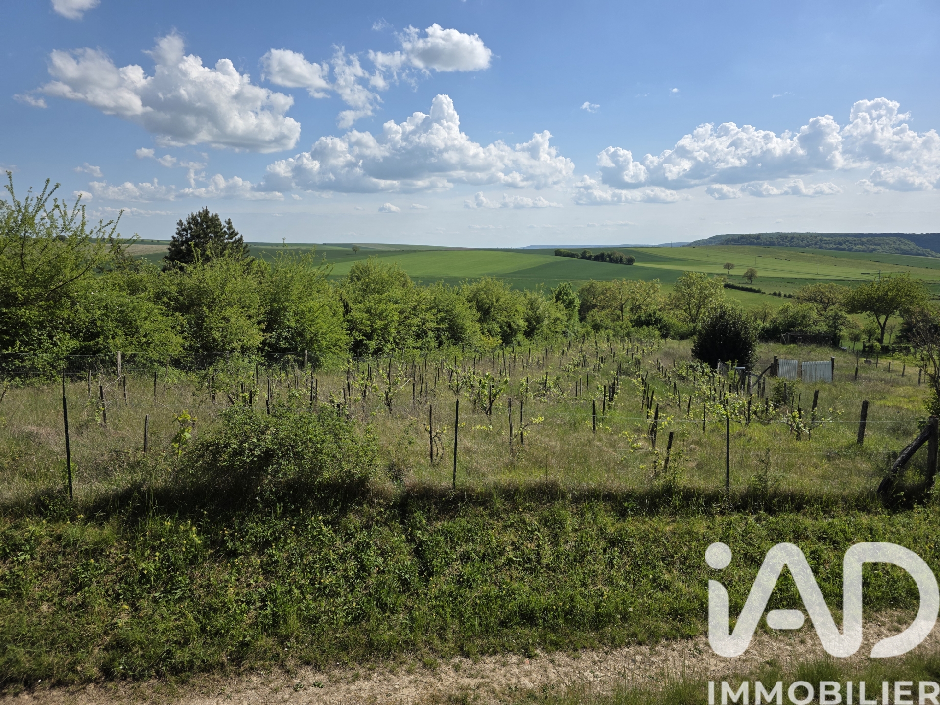 Vente Terrain 3 585 m²