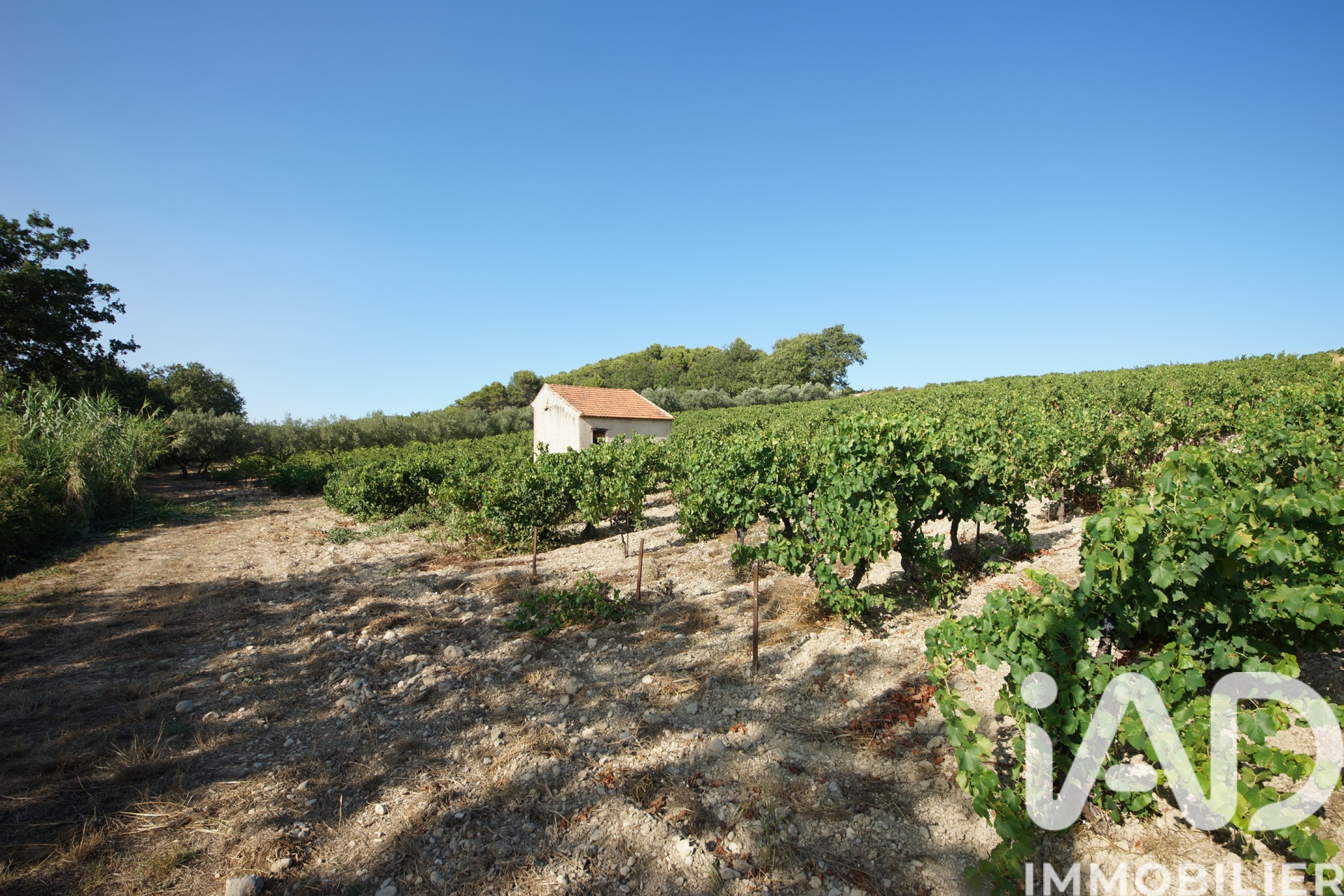 Vente Terrain 7 360 m²