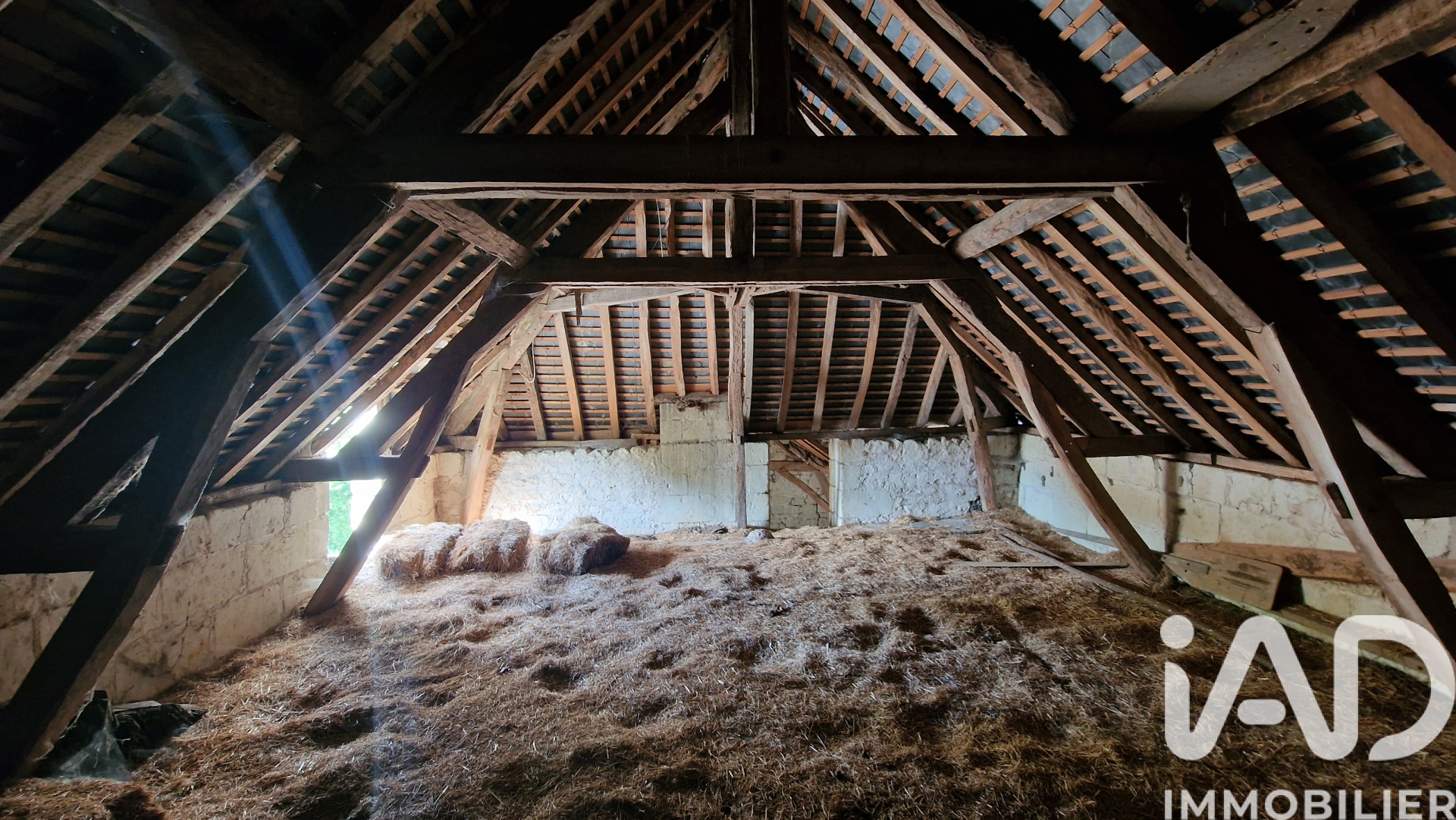 Vente maison à Saint-Germain-sur-Vienne (37500) : maison traditionnelle 4 pièces 110 m² - 2026725 — 13