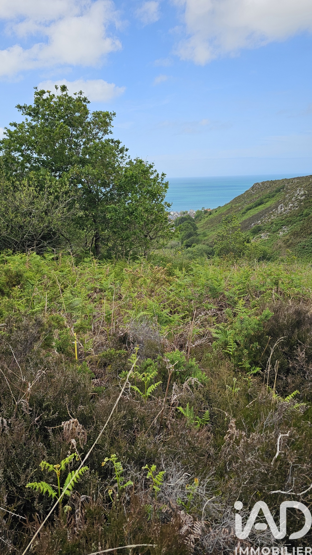 Vente Terrain 4 924 m²