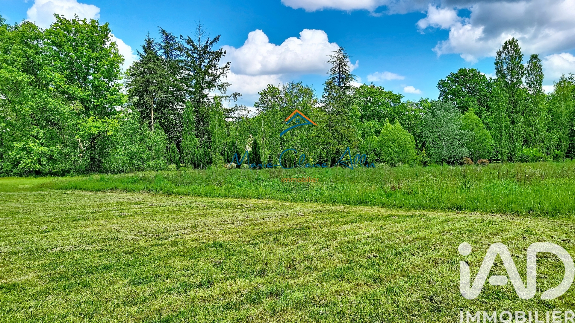 Vente maison à La Ferté-Saint-Cyr (41220) : maison 5 pièces 121 m² - 2025519 — 16