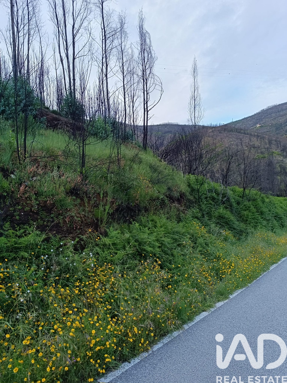 Moradia T0 à venda em Pomares, Arganil — foto 6