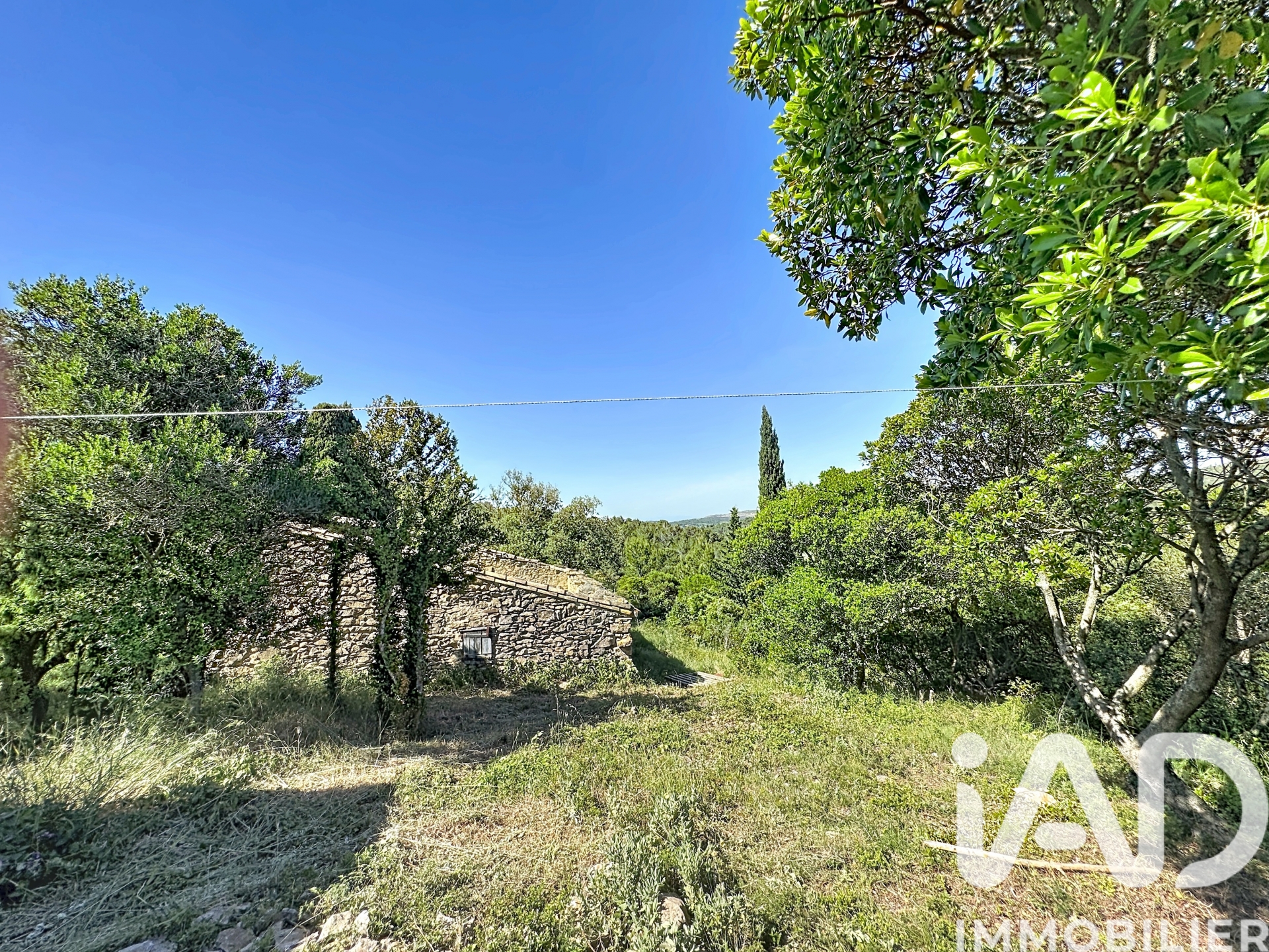Vente Surface diverse 210 000 m²
